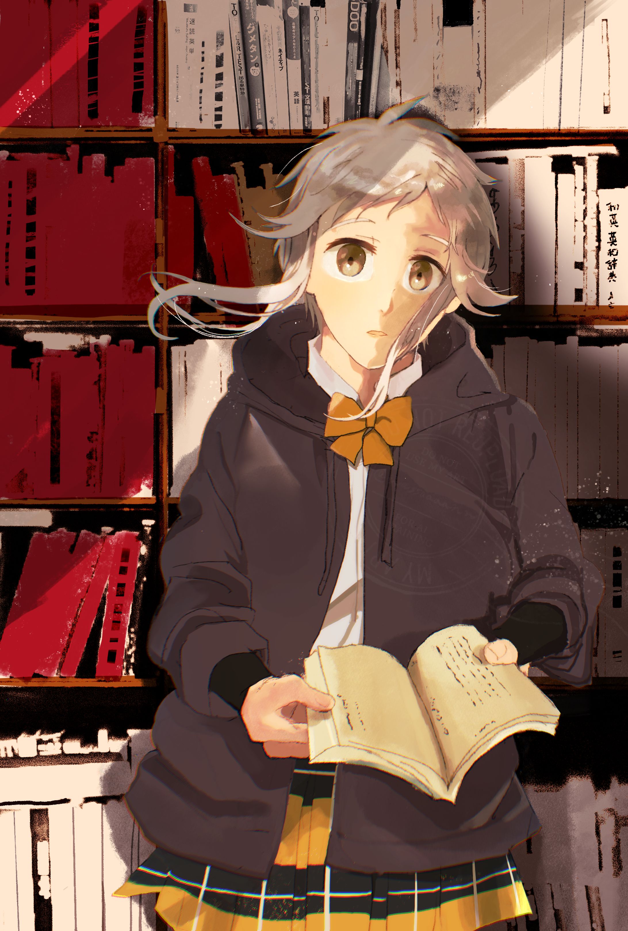 一枚絵・立ち絵及び表情差分-1