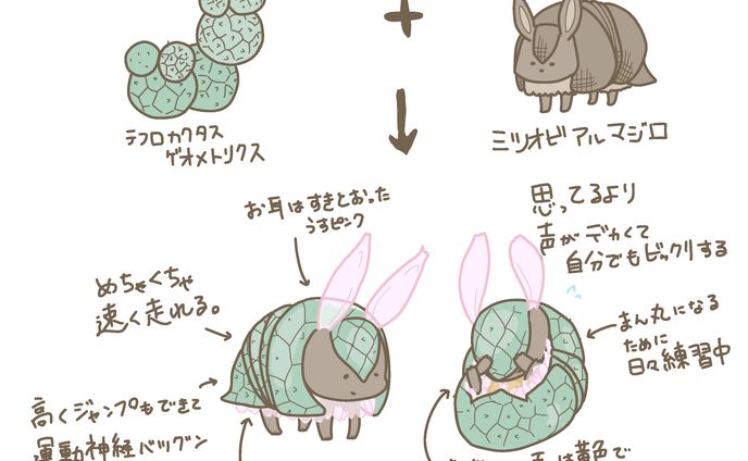 テフロカクタス　ゲオメトリクス×ミツオビアルマジロ