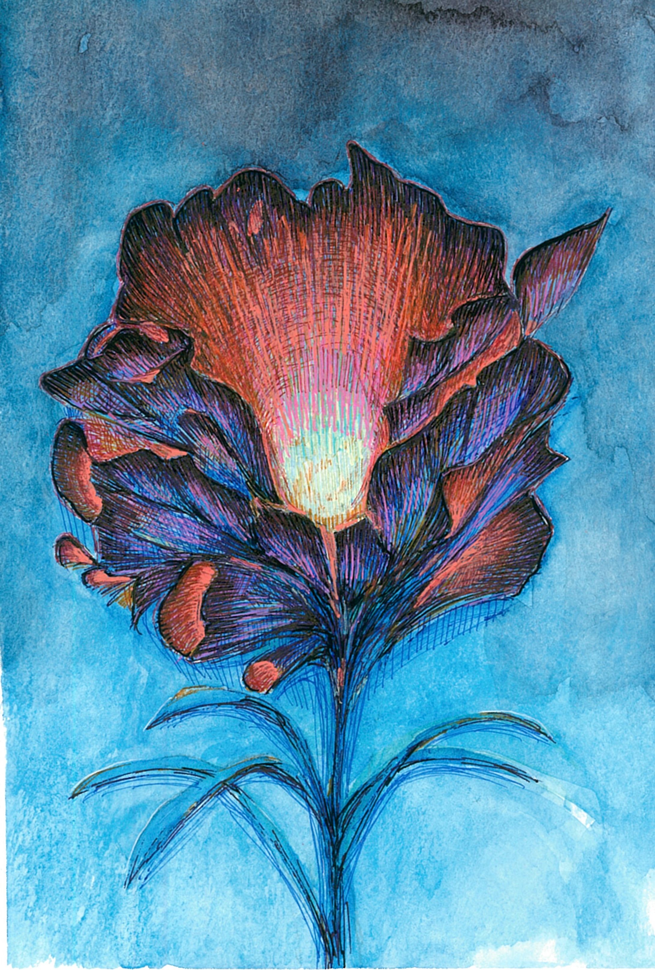 Blume-3   2023.12-1