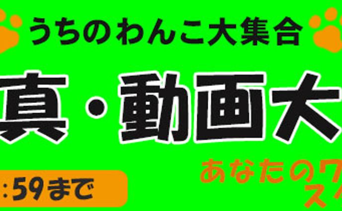 Webバナー
