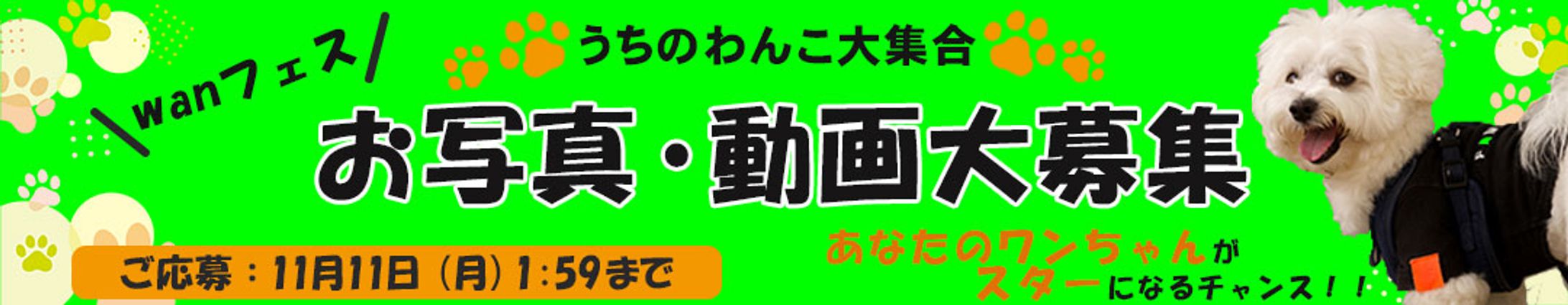 Webバナー-1