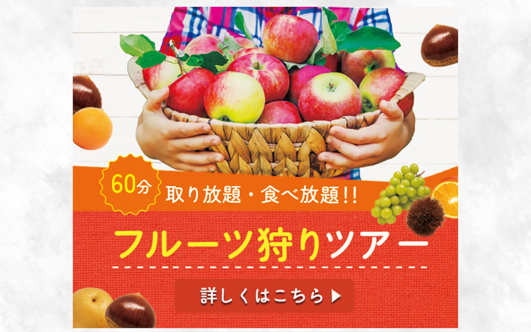 バナー：フルーツ狩りツアー-1