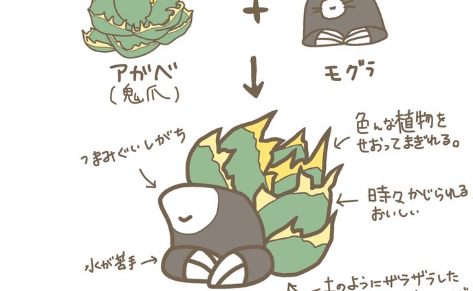 アガベ　鬼爪×モグラ