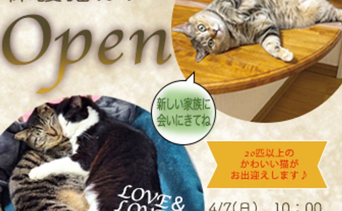 保護猫カフェ練習バナー