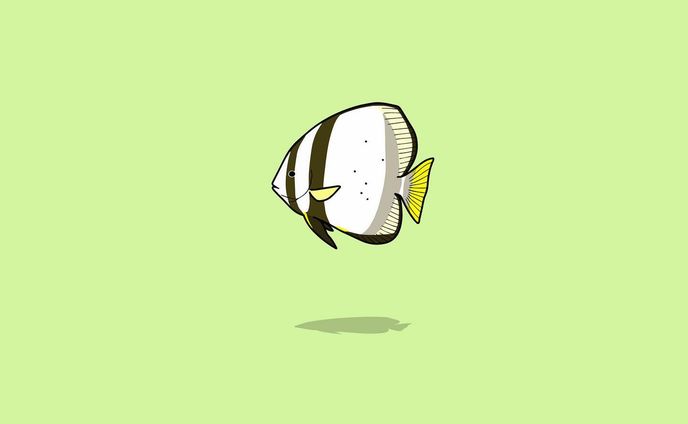 ナンヨウツバメウオ