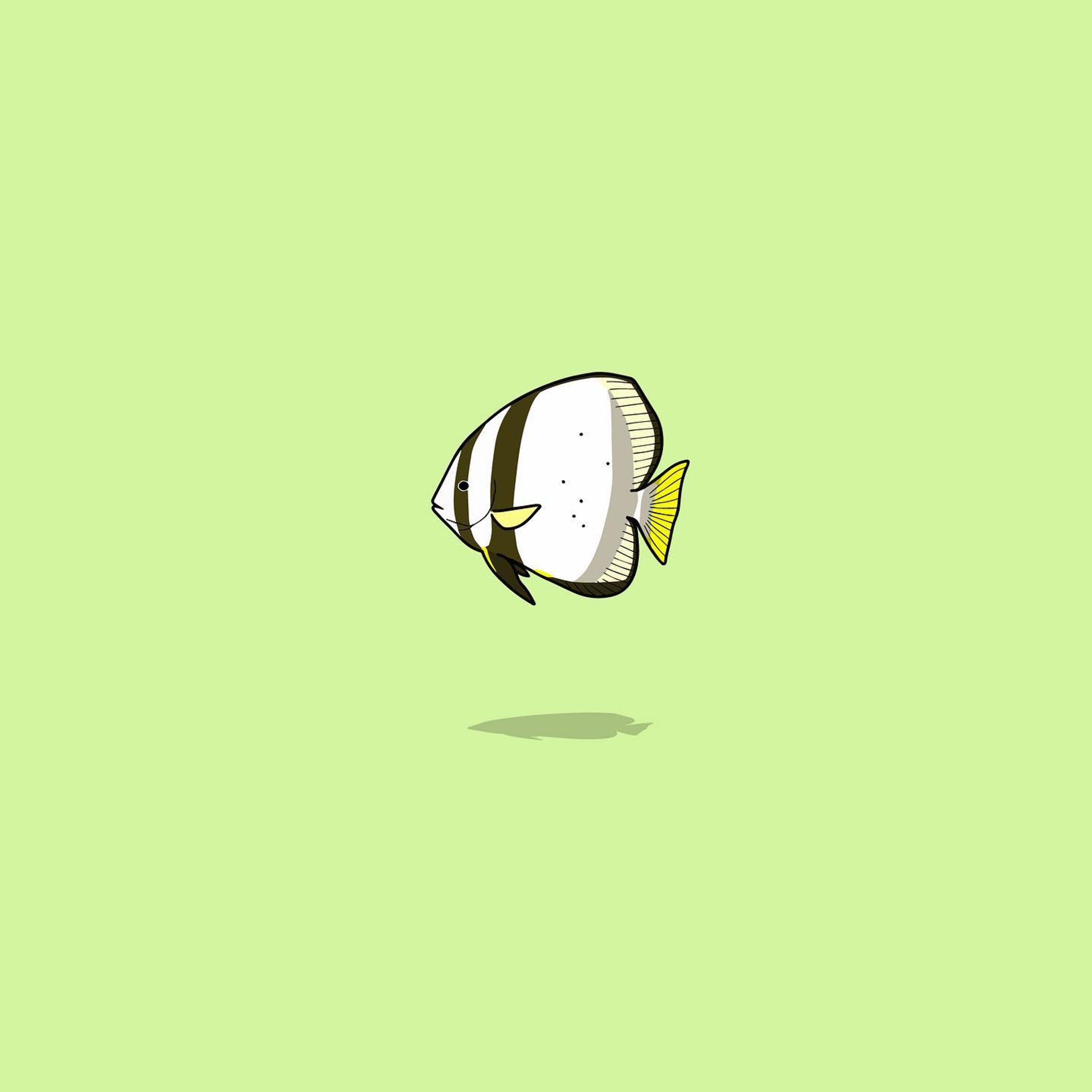 ナンヨウツバメウオ-1