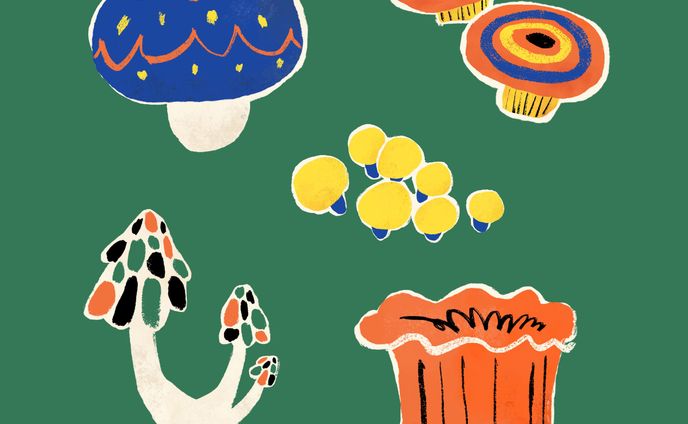 グラフィックデザイナー、イラストレーター、オリジナル