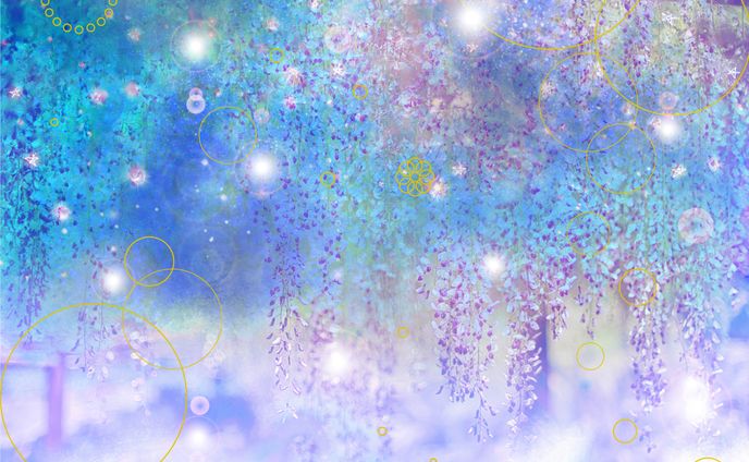 梅雨滴るる藤の花