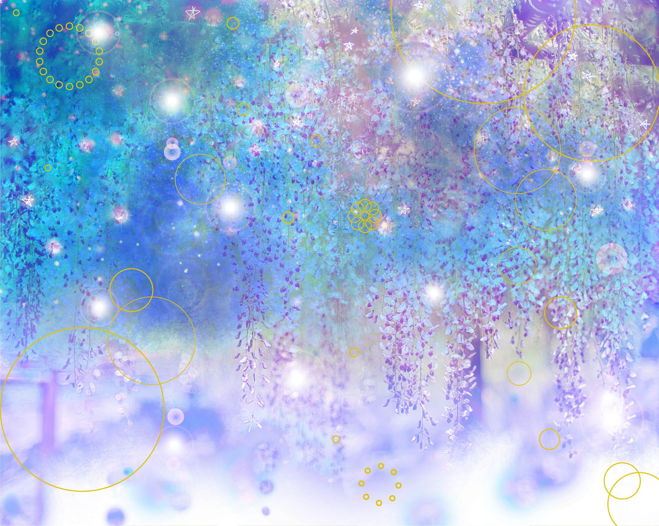 梅雨滴るる藤の花-1
