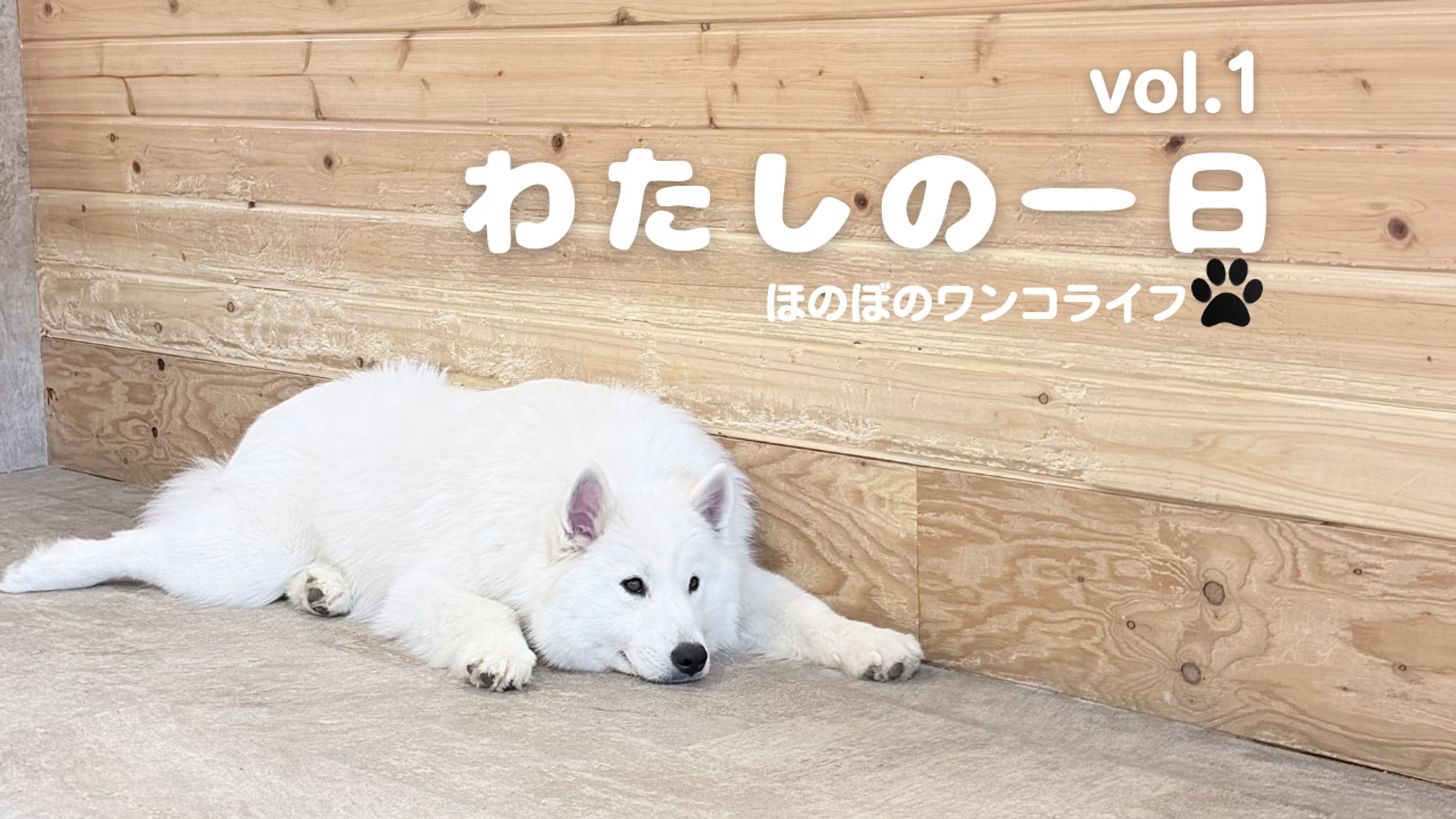 YouTubeサムネイル-1