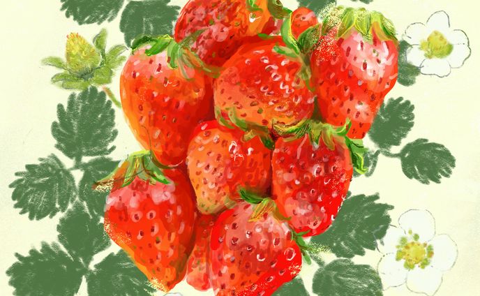 イチゴ