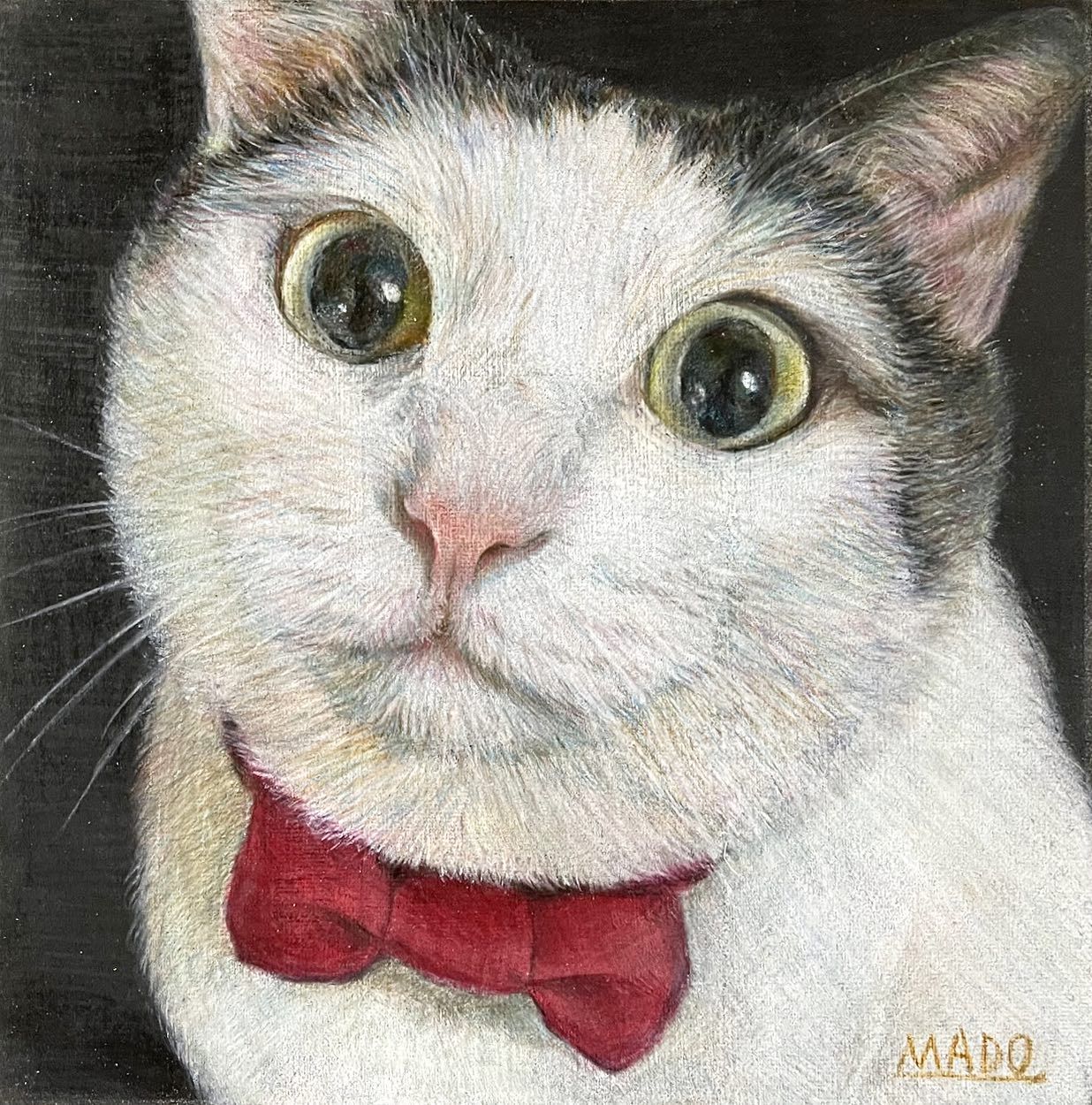 お坊っちゃま ／紙・色鉛筆 #ハチワレ #cat #猫 #animalillustration #芸術 #アート #animal #動物 #かわいい # 色鉛筆 #colorpencil #picture #cute #animalartist #animaldrawing #realist #イラスト  #絵 #illust #illustration #illustrator #draw #drawing #art ...