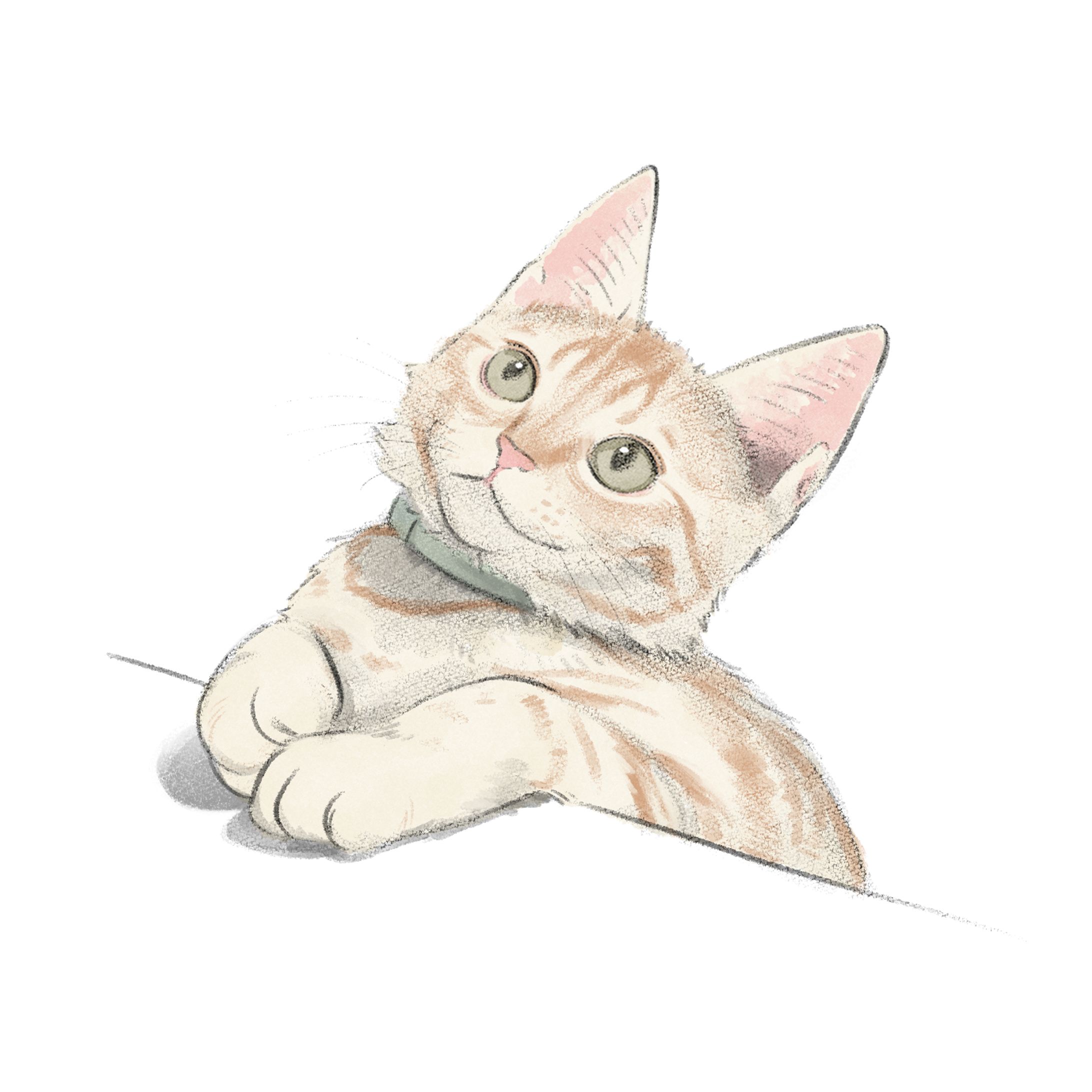 ねこスケッチ1-3-1