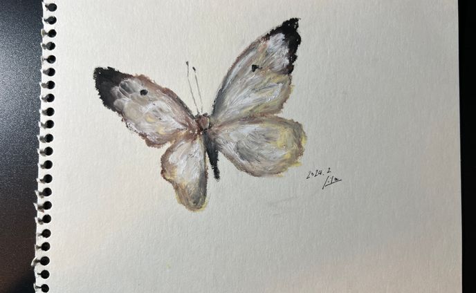 sad butterfly 2