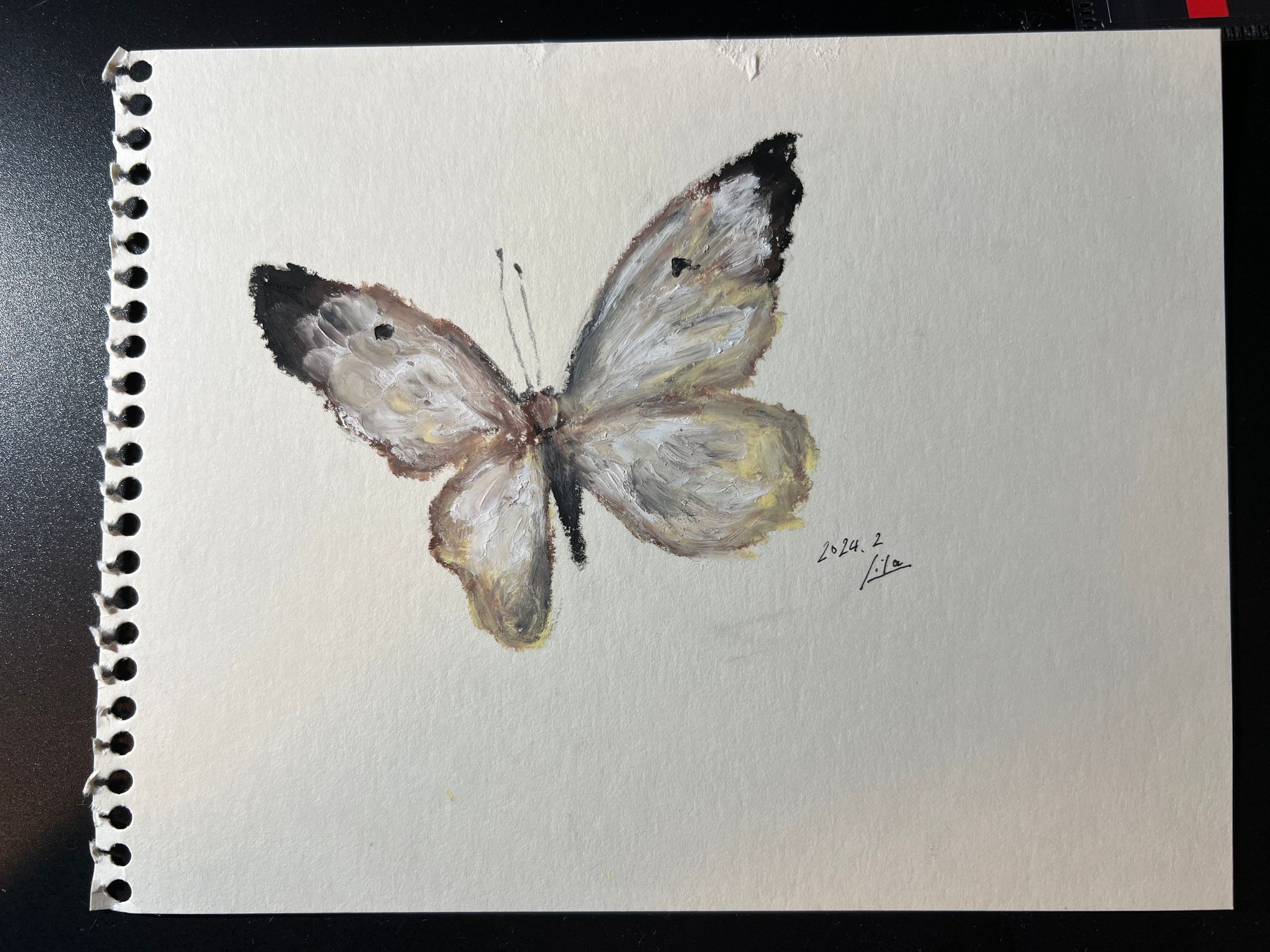 sad butterfly 2-1