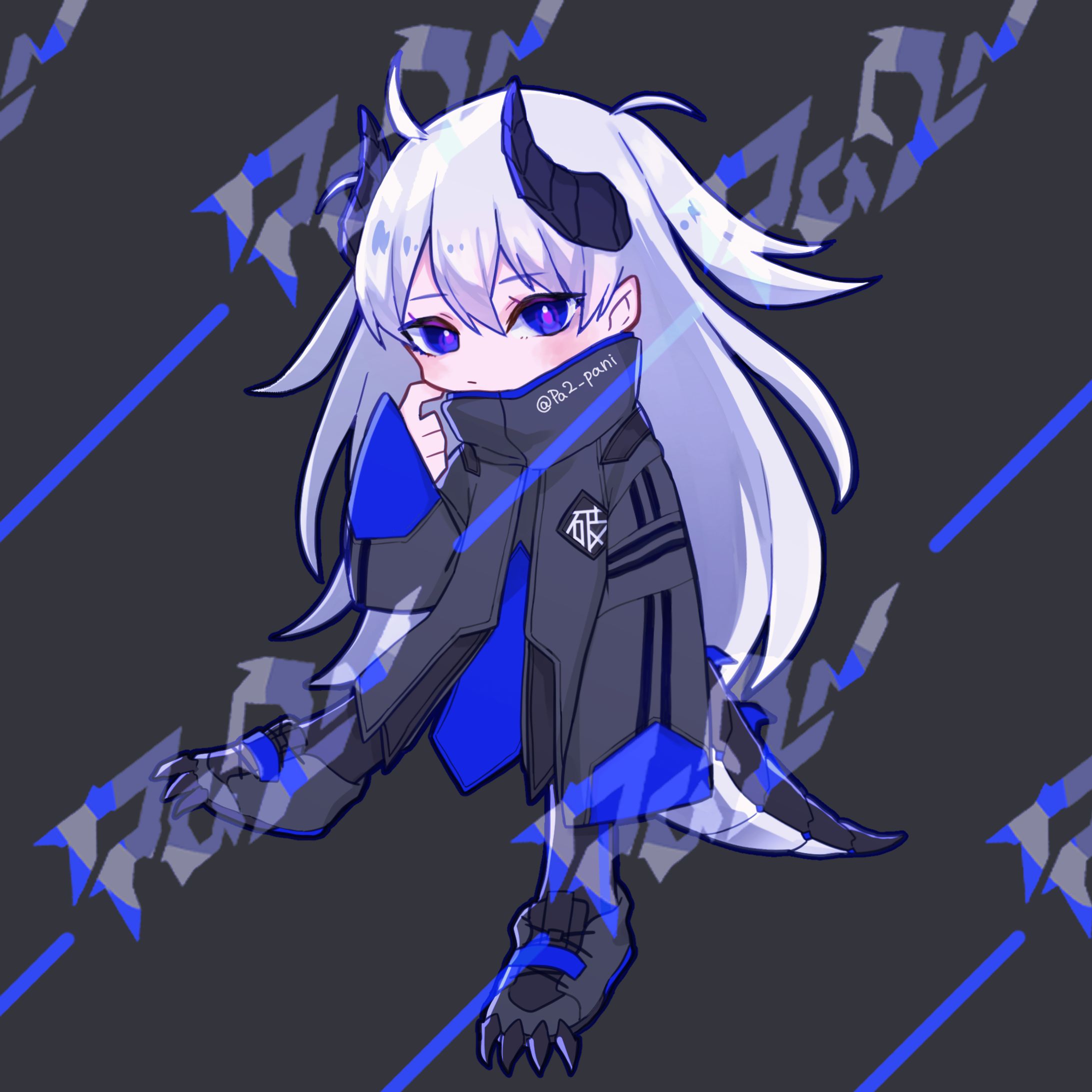 Pa2-_002-1