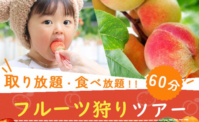 フルーツ狩りツアー広告バナー※デザインスクール課題