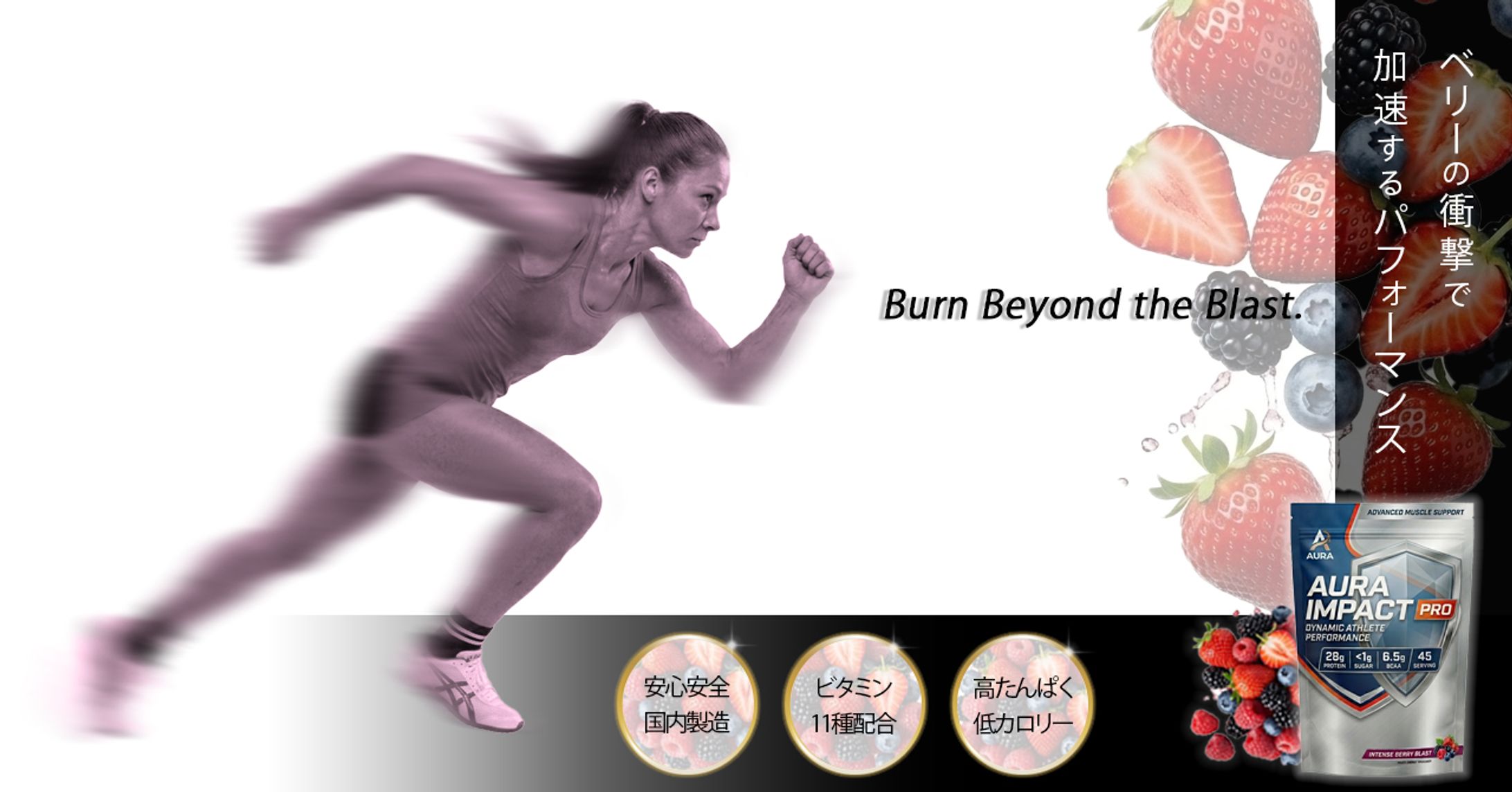 バナー/ベリー系プロテイン-1