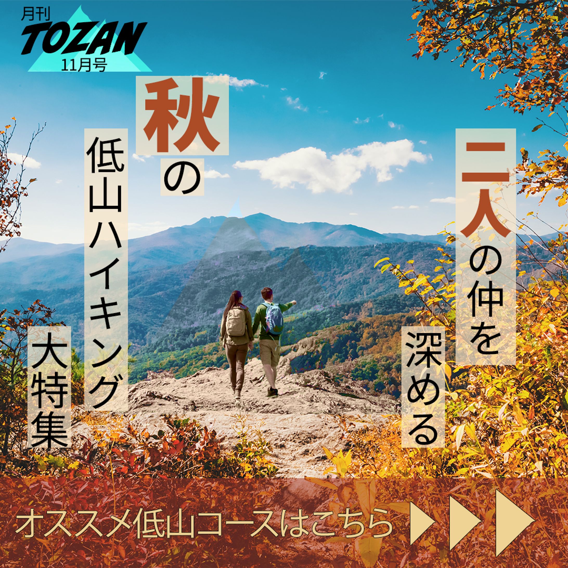 tozan-1