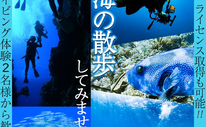ダイビング体験　バナー