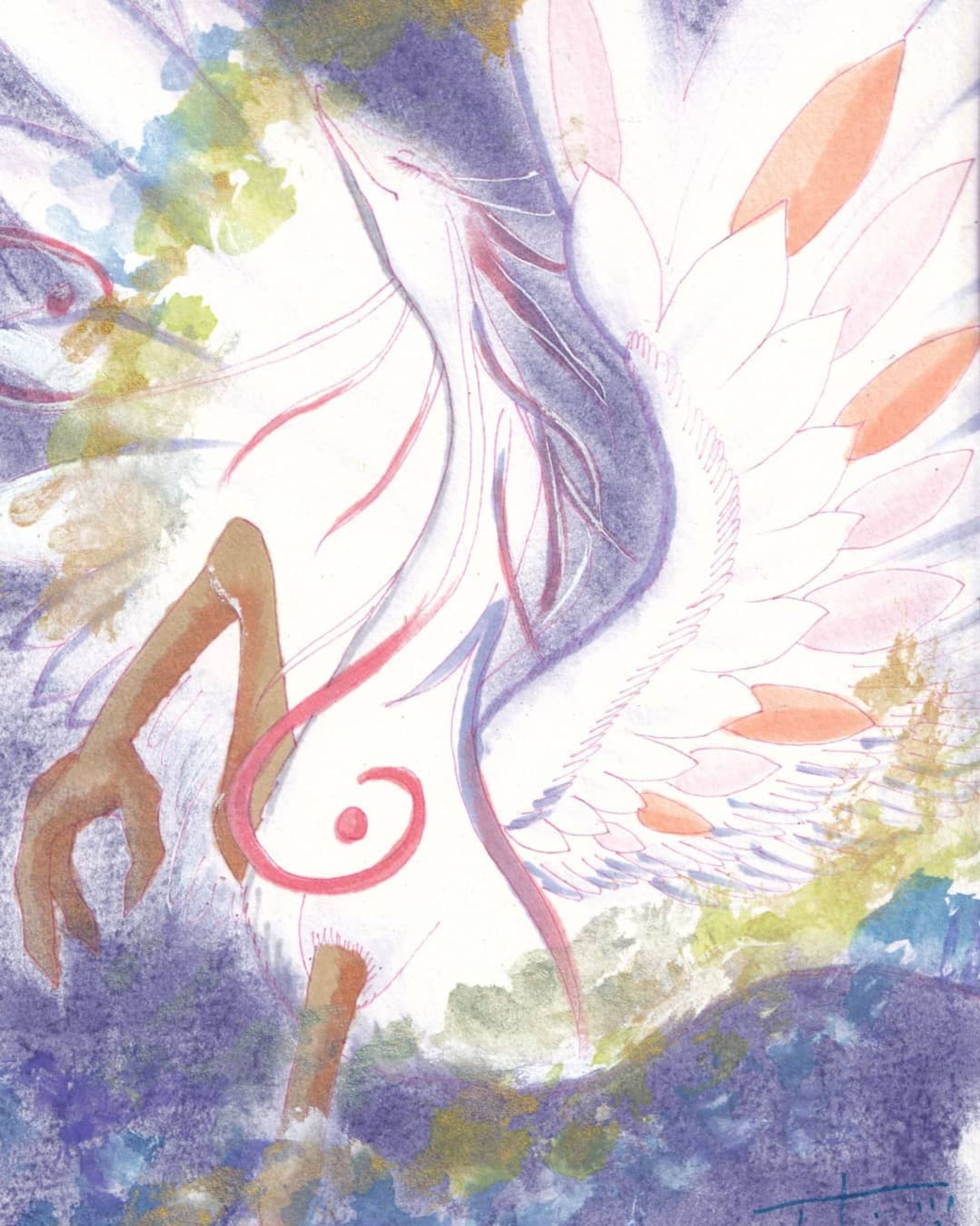 #イラストレーション-1