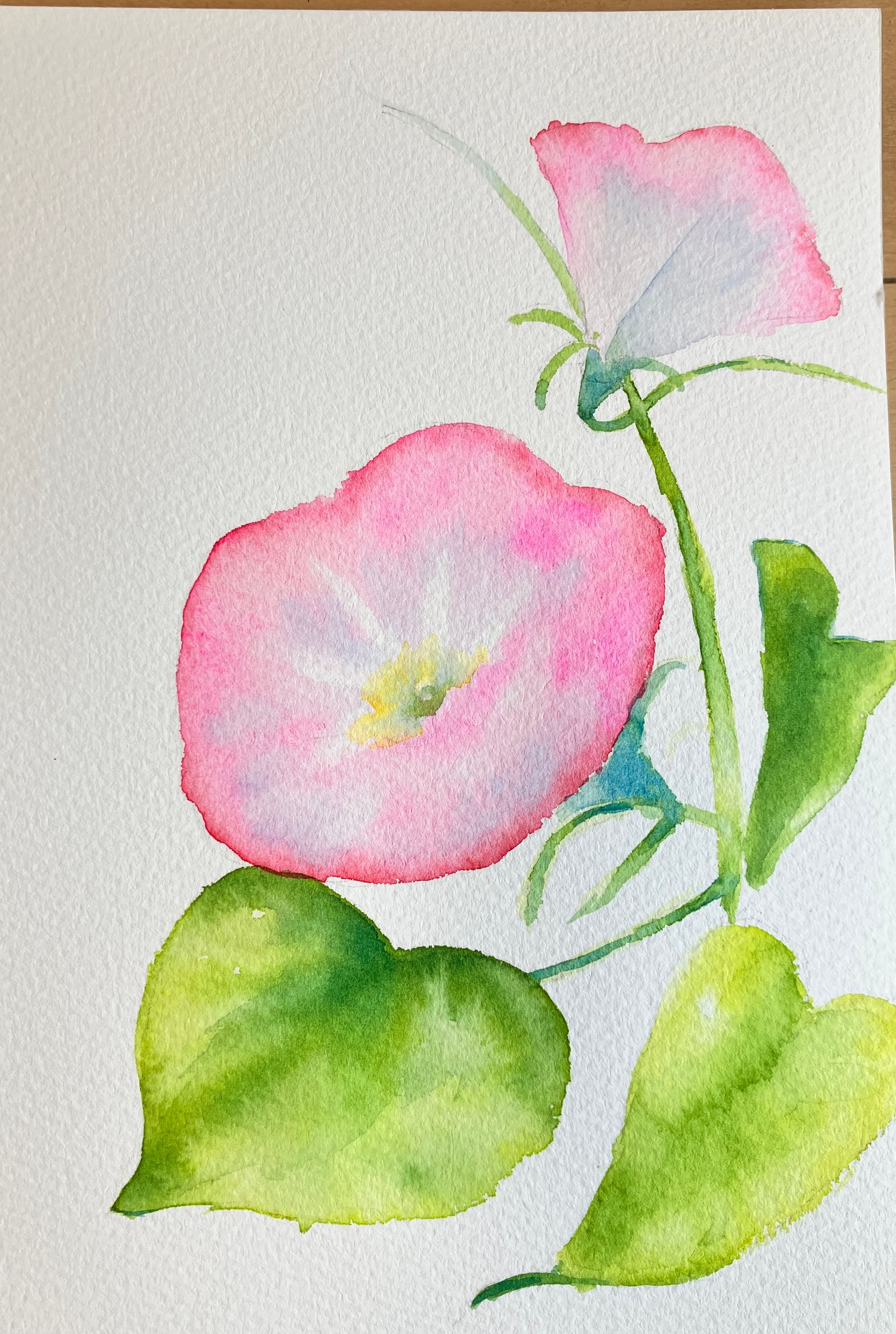 水彩　あさがお-1