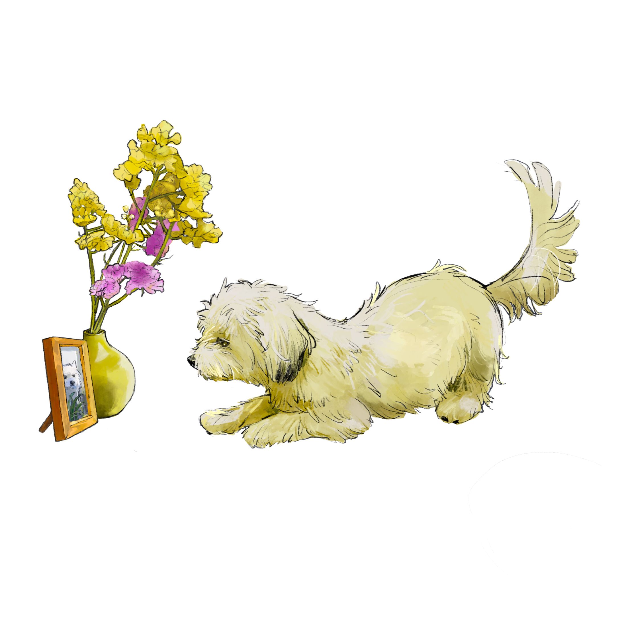 愛犬-1