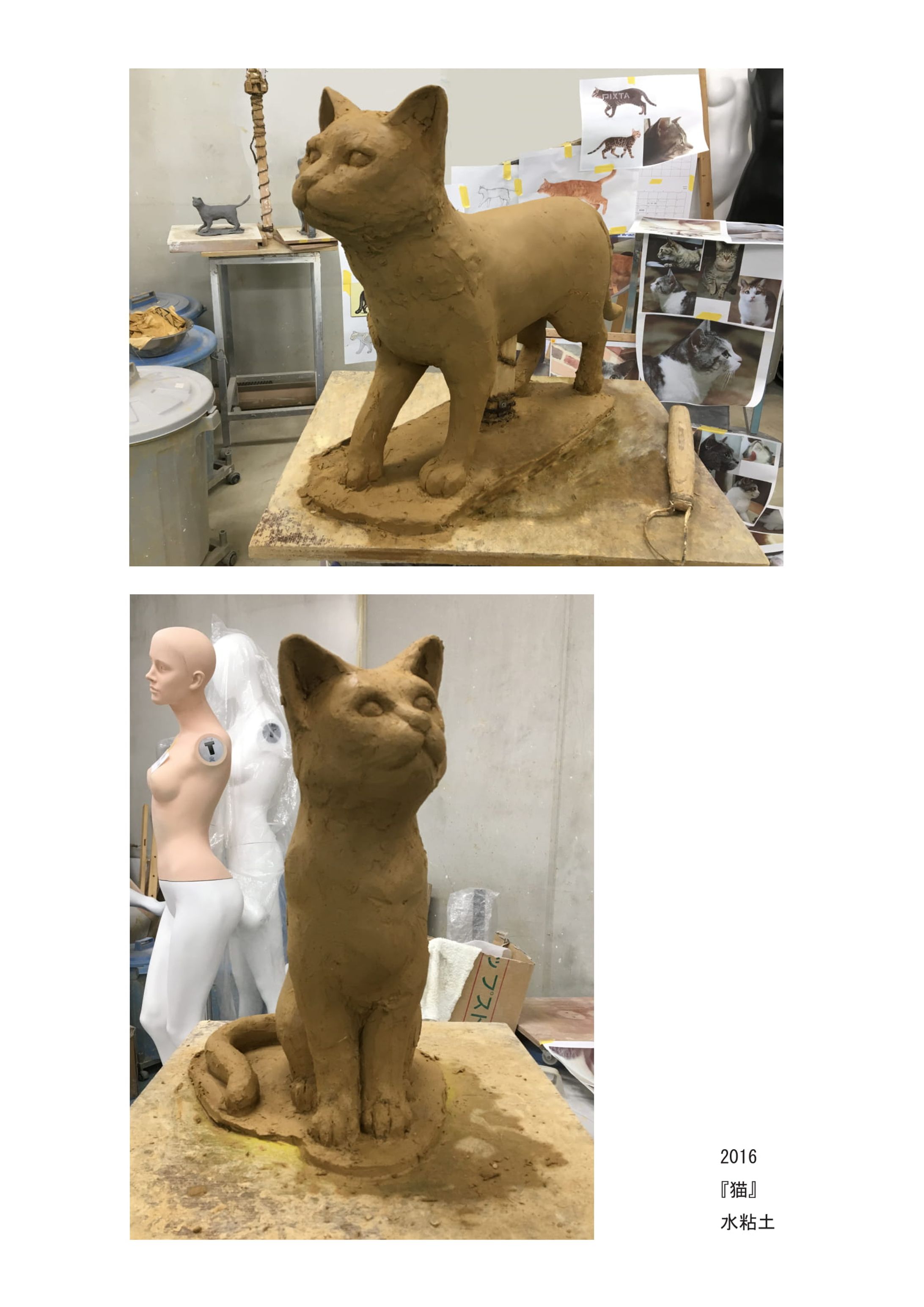 猫-1
