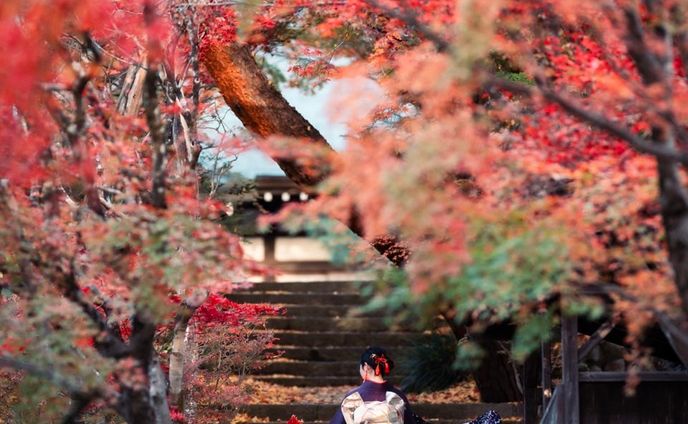 追秋🍁
＊
すでに雪が降った高山市ですが、名残惜しく秋を想って🍂☺️
＊
2023.11.7
高山市 天照寺
M @asumisenoue 
Photo & Edit @hakuchuu1882 
Special thanks
＊
❀❁❄︎❀❁❄︎❀❁❄︎❀❁❀❁❄︎❀❁❄︎❀❁❄︎❀❁❄︎❀❁❄︎

⛰岐阜県公式観光サイト🚃
『岐阜の旅ガイド』にて
@visit.gifupref 
地元レポーターあすみんとして
記事を書いております✍️

岐阜県内の素敵な場所やイベント、
人や物など、魅力的な情報を発信してまいります。
新しくできたお店や、素敵な場所の情報など、
皆さんのお気に入りを是非教えてください！🥰

岐阜の旅ガイド
『地元レポーター発！旅のコラム』はこちら↓
https://www.kankou-gifu.jp/blog/index_1____154.html 

プロフィールのURLから記事へ飛べます♪
@asumisenoue 

是非、ご覧ください♪☺️

❀❁❄︎❀❁❄︎❀❁❄︎❀❁❀❁❄︎❀❁❄︎❀❁❄︎❀❁❄︎❀❁❄︎
＊
#飛騨の景色を届けたい #飛騨のたばる箱 #gifuebooks  #gifuphoto #photo_travelers #mst_photo #紅葉スポット #_photo_drive_ #岐阜県インスタ部 #ひだまるけ #photo_shorttrip #tokyocameraclub #photo_jpn #スゴ得2023秋 #visitjapanjp #japan_bestpic_ #visit_tokai #lovers_nippon #ひだジェニック #東京カメラ部 #photo_jpn #jalan_travel #飛騨高山 #hidatrip #autumn #raytrek_photo #japan_daytime_view #ritrip_nippon #sorakataphoto #nikon #東山遊歩道　  @hida_takayama_tourism @tobutoptours_jp
