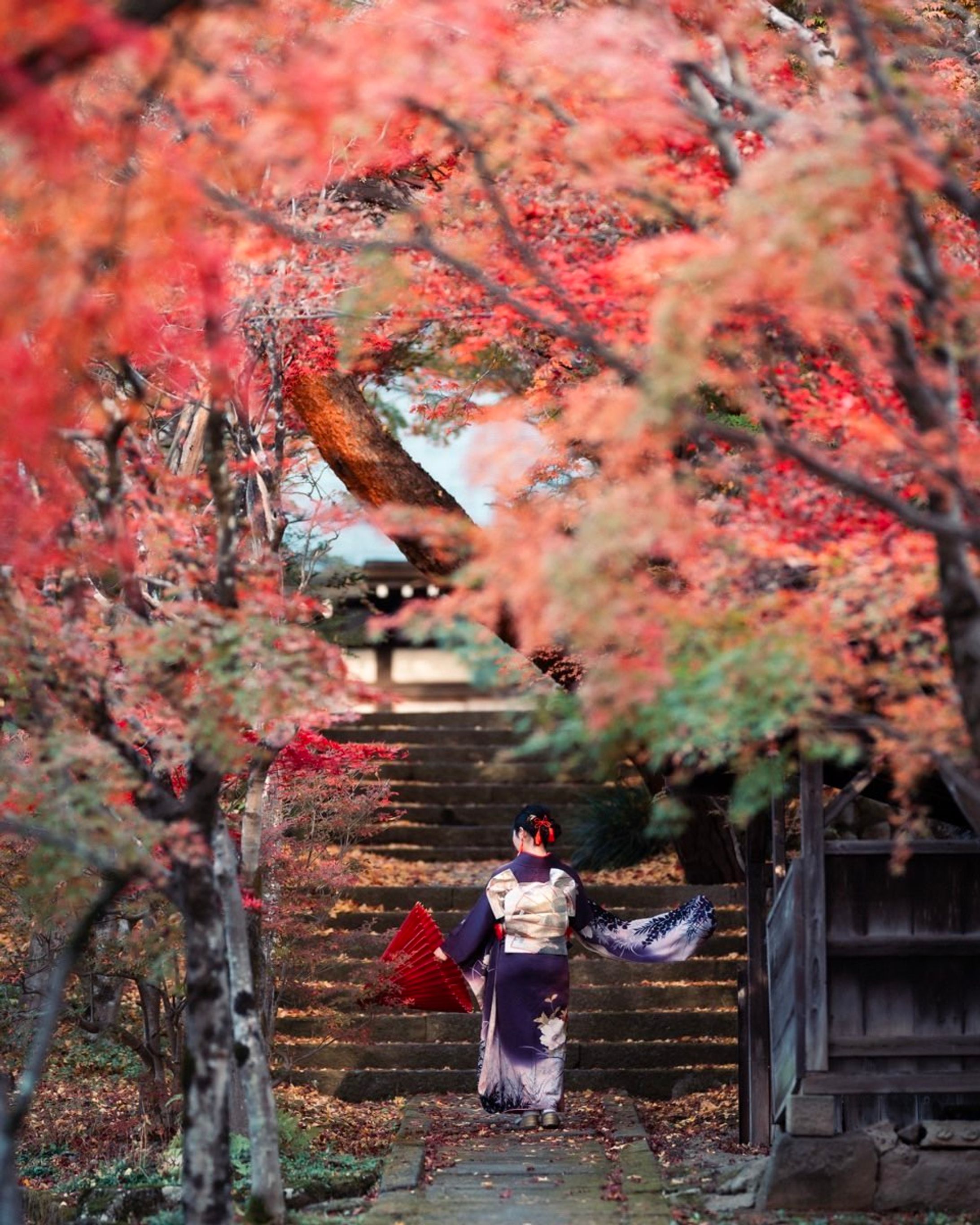 追秋🍁
＊
すでに雪が降った高山市ですが、名残惜しく秋を想って🍂☺️
＊
2023.11.7
高山市 天照寺
M @asumisenoue 
Photo & Edit @hakuchuu1882 
Special thanks
＊
❀❁❄︎❀❁❄︎❀❁❄︎❀❁❀❁❄︎❀❁❄︎❀❁❄︎❀❁❄︎❀❁❄︎

⛰岐阜県公式観光サイト🚃
『岐阜の旅ガイド』にて
@visit.gifupref 
地元レポーターあすみんとして
記事を書いております✍️

岐阜県内の素敵な場所やイベント、
人や物など、魅力的な情報を発信してまいります。
新しくできたお店や、素敵な場所の情報など、
皆さんのお気に入りを是非教えてください！🥰

岐阜の旅ガイド
『地元レポーター発！旅のコラム』はこちら↓
https://www.kankou-gifu.jp/blog/index_1____154.html 

プロフィールのURLから記事へ飛べます♪
@asumisenoue 

是非、ご覧ください♪☺️

❀❁❄︎❀❁❄︎❀❁❄︎❀❁❀❁❄︎❀❁❄︎❀❁❄︎❀❁❄︎❀❁❄︎
＊
#飛騨の景色を届けたい #飛騨のたばる箱 #gifuebooks  #gifuphoto #photo_travelers #mst_photo #紅葉スポット #_photo_drive_ #岐阜県インスタ部 #ひだまるけ #photo_shorttrip #tokyocameraclub #photo_jpn #スゴ得2023秋 #visitjapanjp #japan_bestpic_ #visit_tokai #lovers_nippon #ひだジェニック #東京カメラ部 #photo_jpn #jalan_travel #飛騨高山 #hidatrip #autumn #raytrek_photo #japan_daytime_view #ritrip_nippon #sorakataphoto #nikon #東山遊歩道　  @hida_takayama_tourism @tobutoptours_jp-1