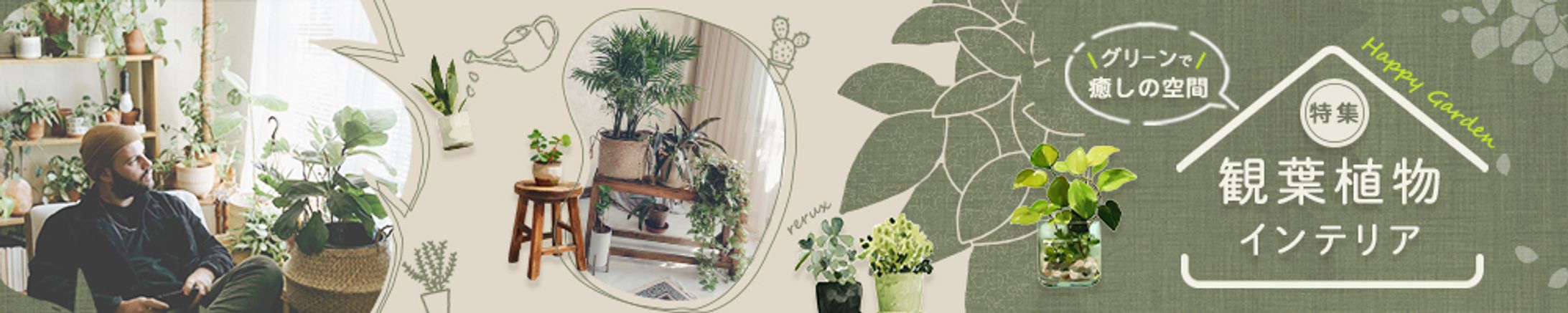 観葉植物特集-1