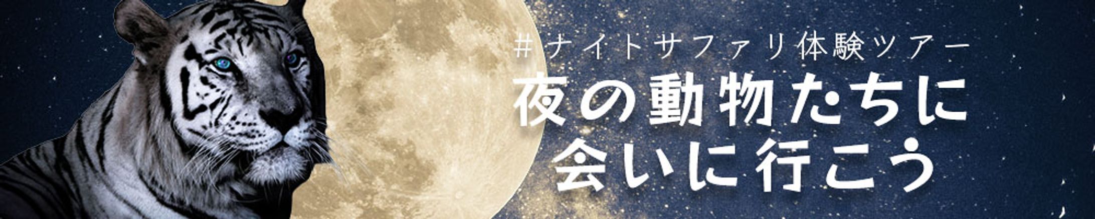 バナー：ナイトサファリ・動物園-1