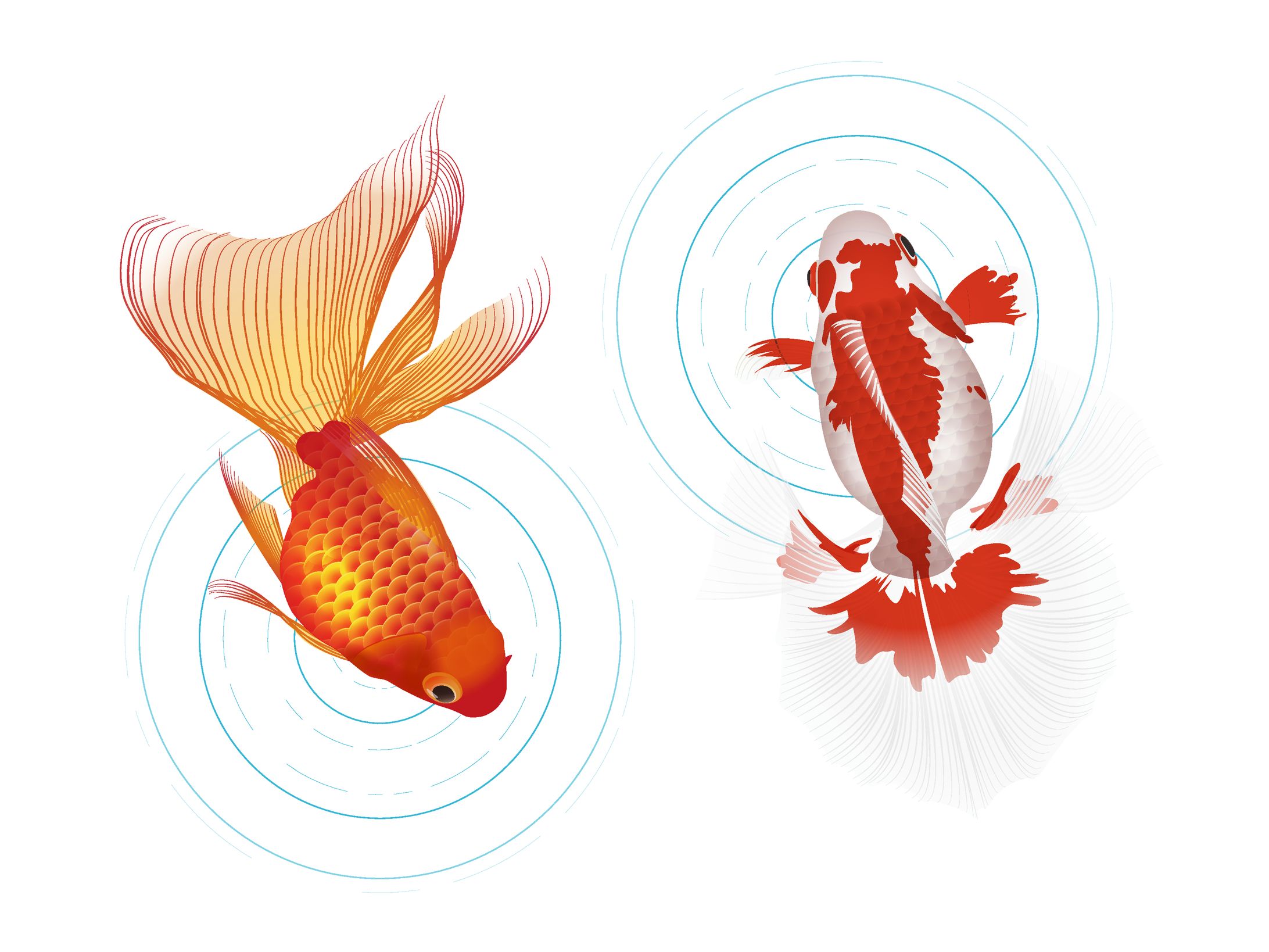 イラスト素材_金魚-1