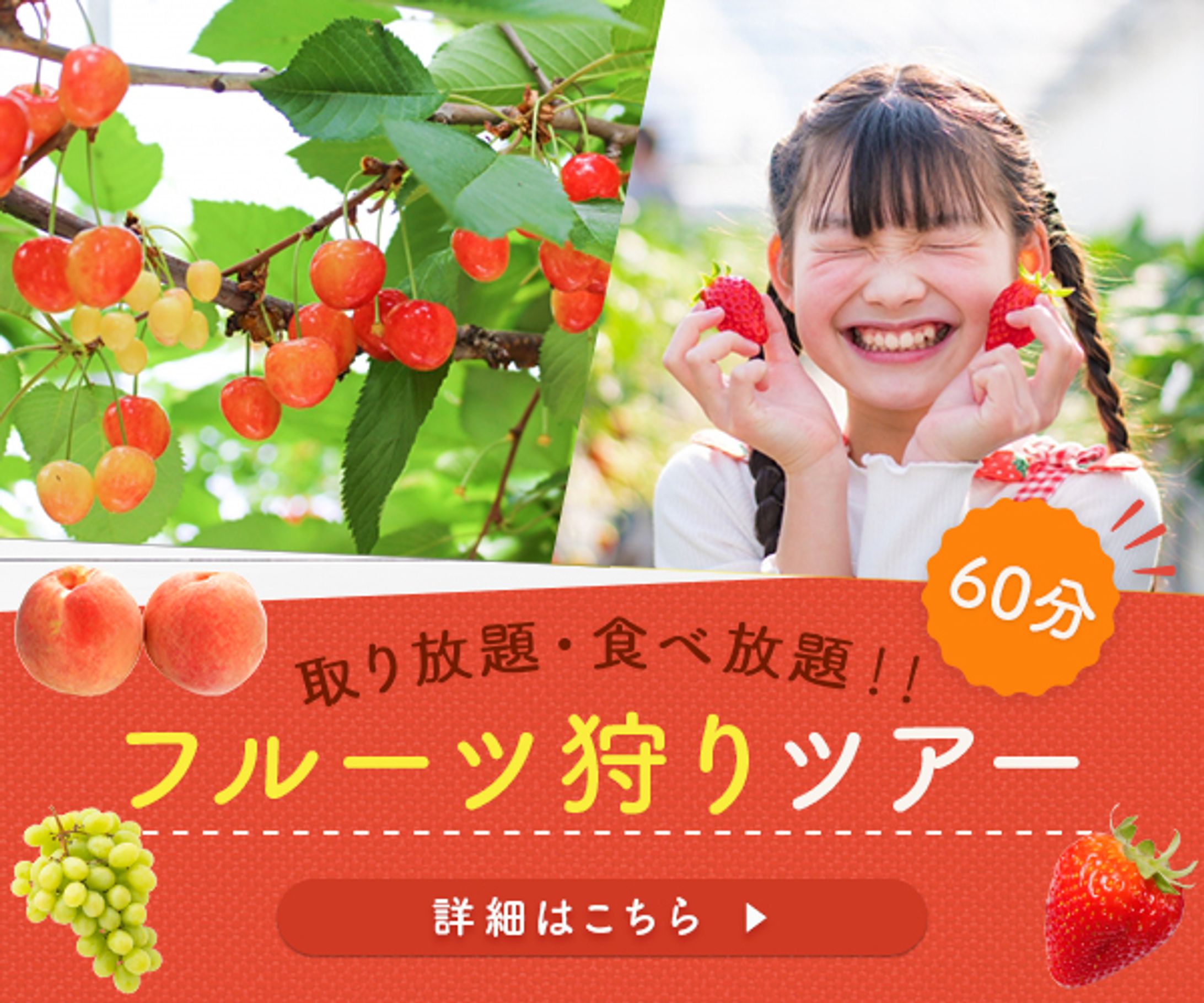 バナー：フルーツ狩りツアー-1