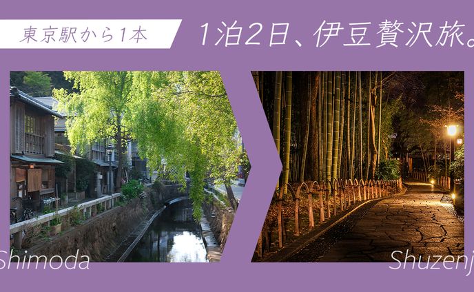 伊豆旅行（下田・修善寺）