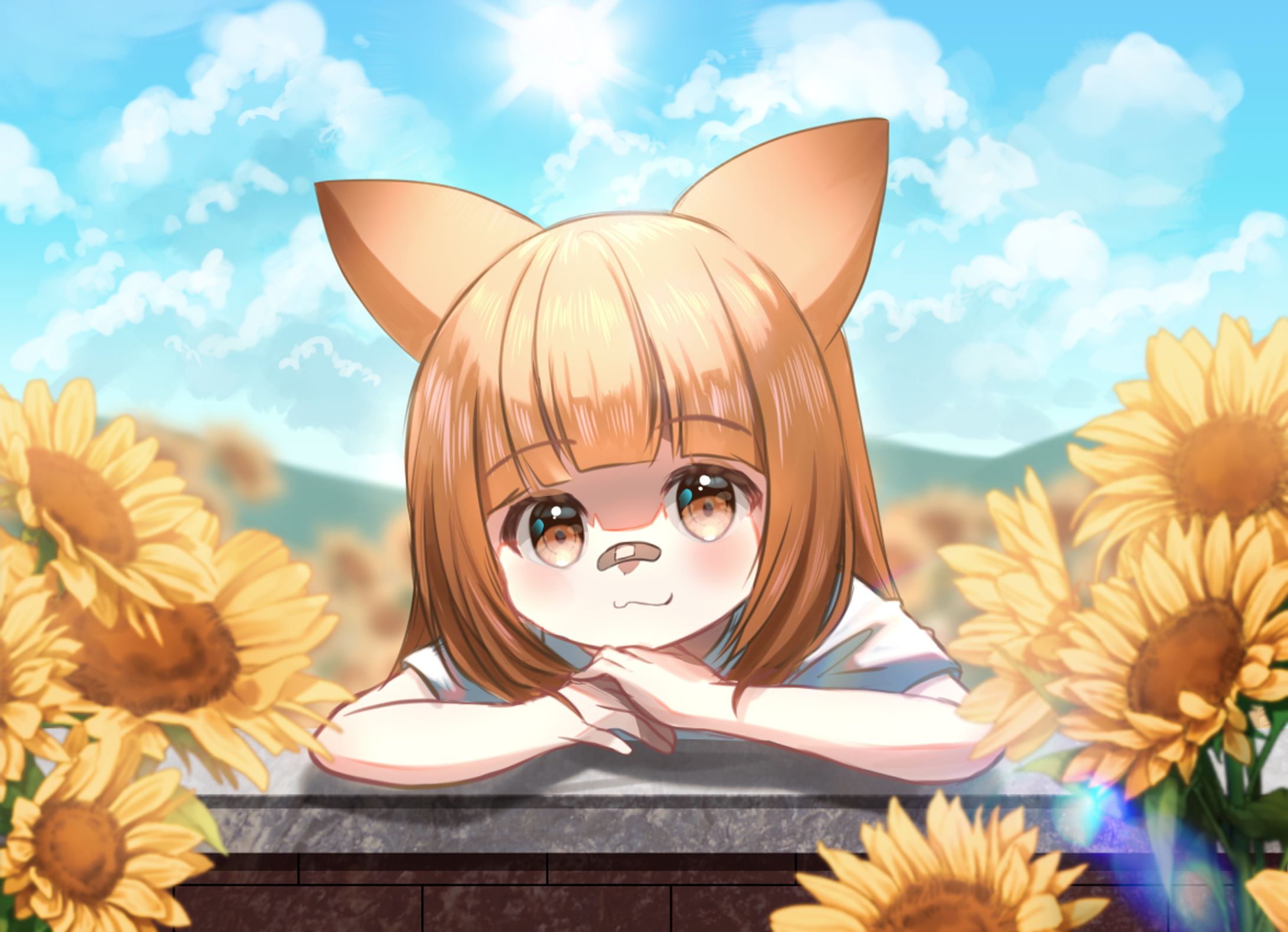 IRIAMライバーさんFA-1