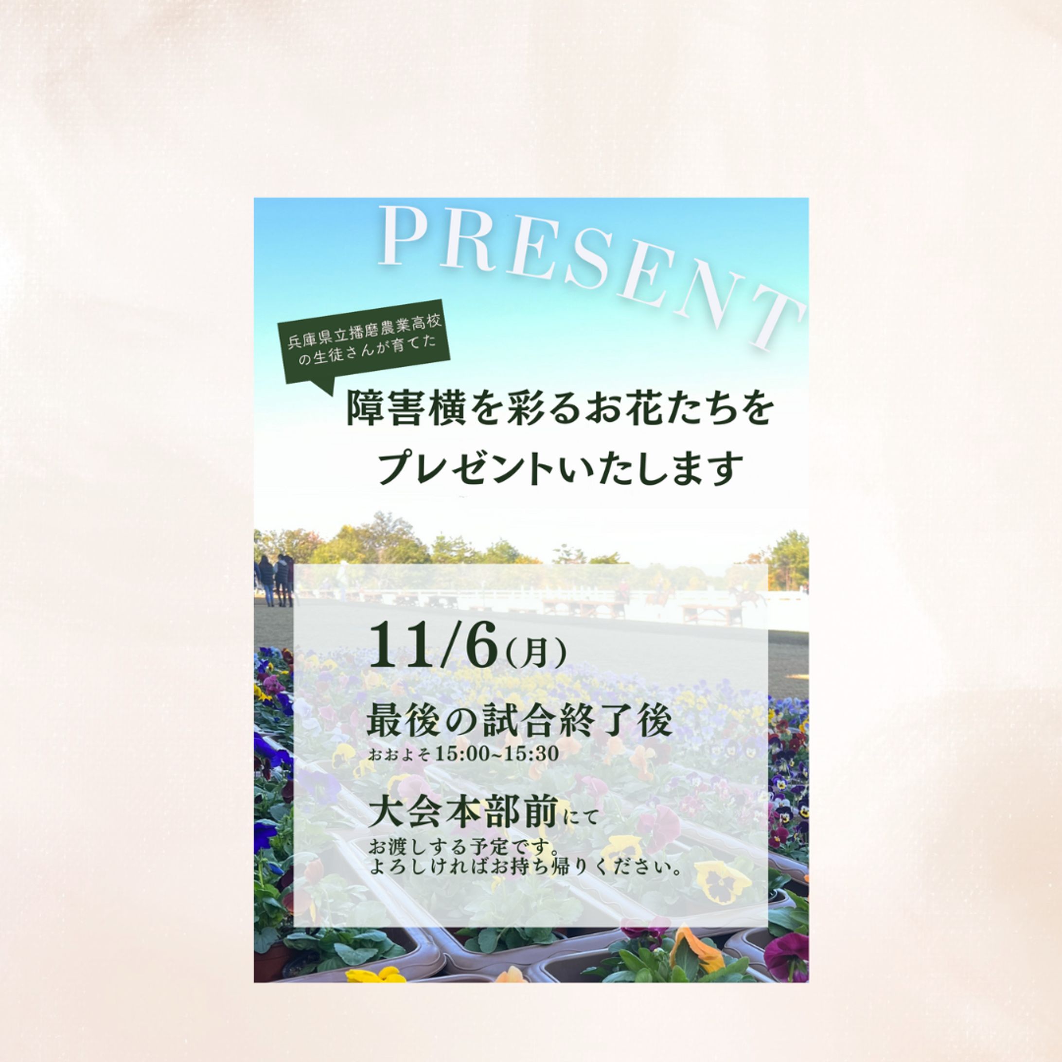 生花プレゼントチラシ-1