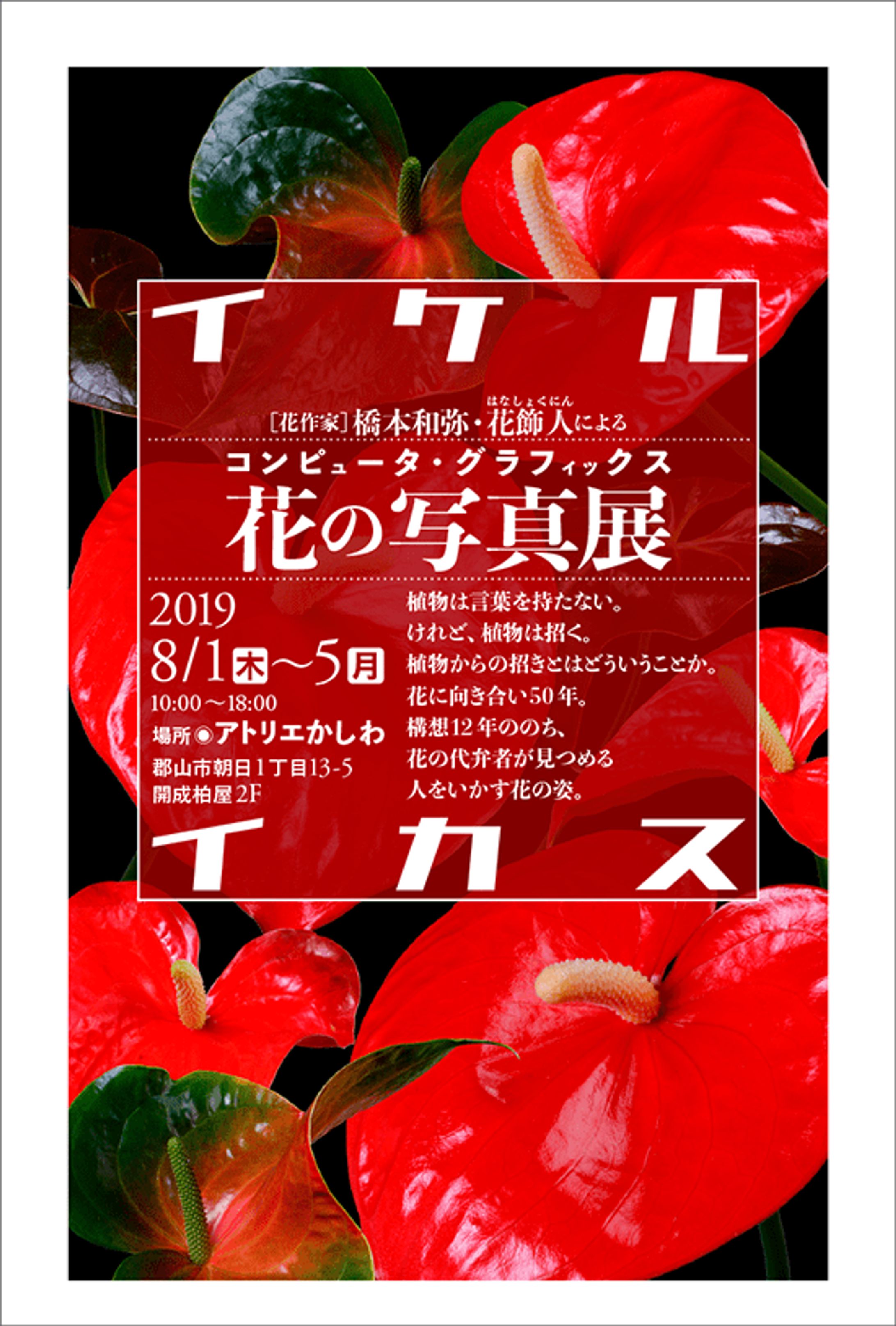 花の写真展2019/8/1〜5告知ハガキ-1