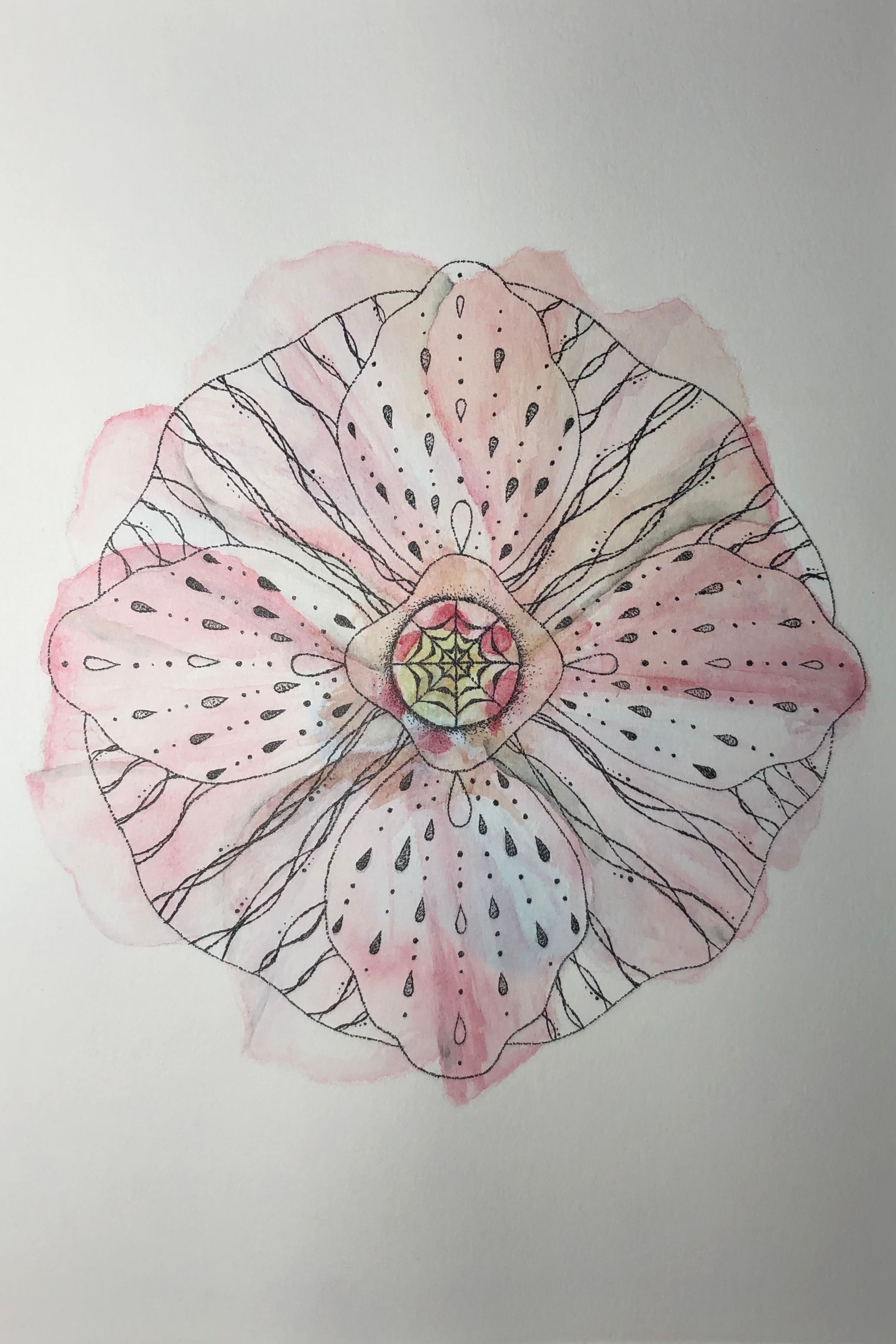 芙蓉〜繊細な美〜-1