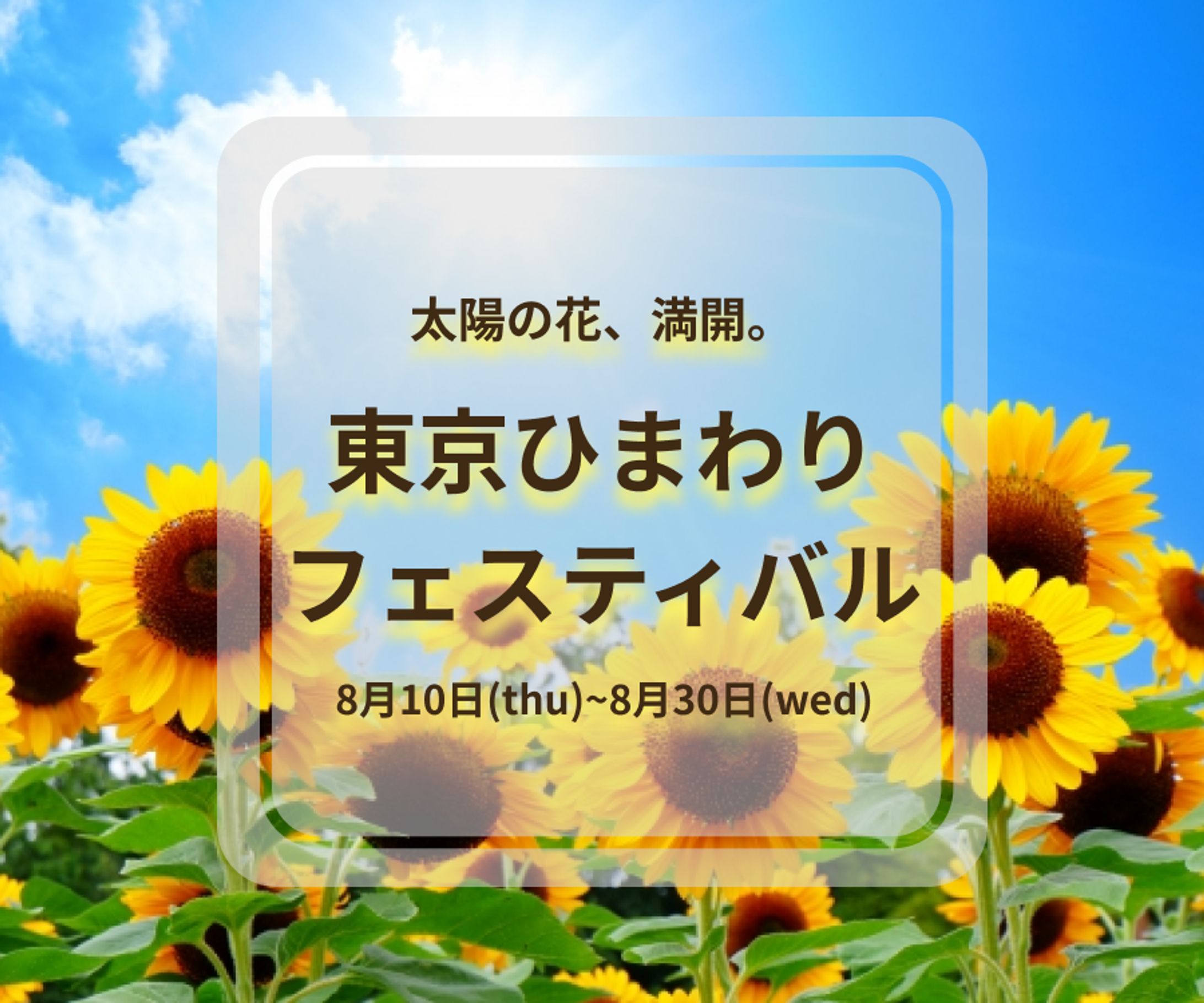 東京ひまわりフェスティバル(架空案件)-1
