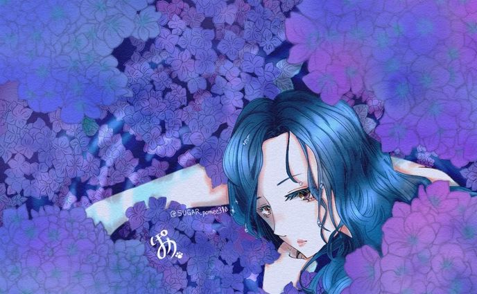 【一枚絵】紫陽花