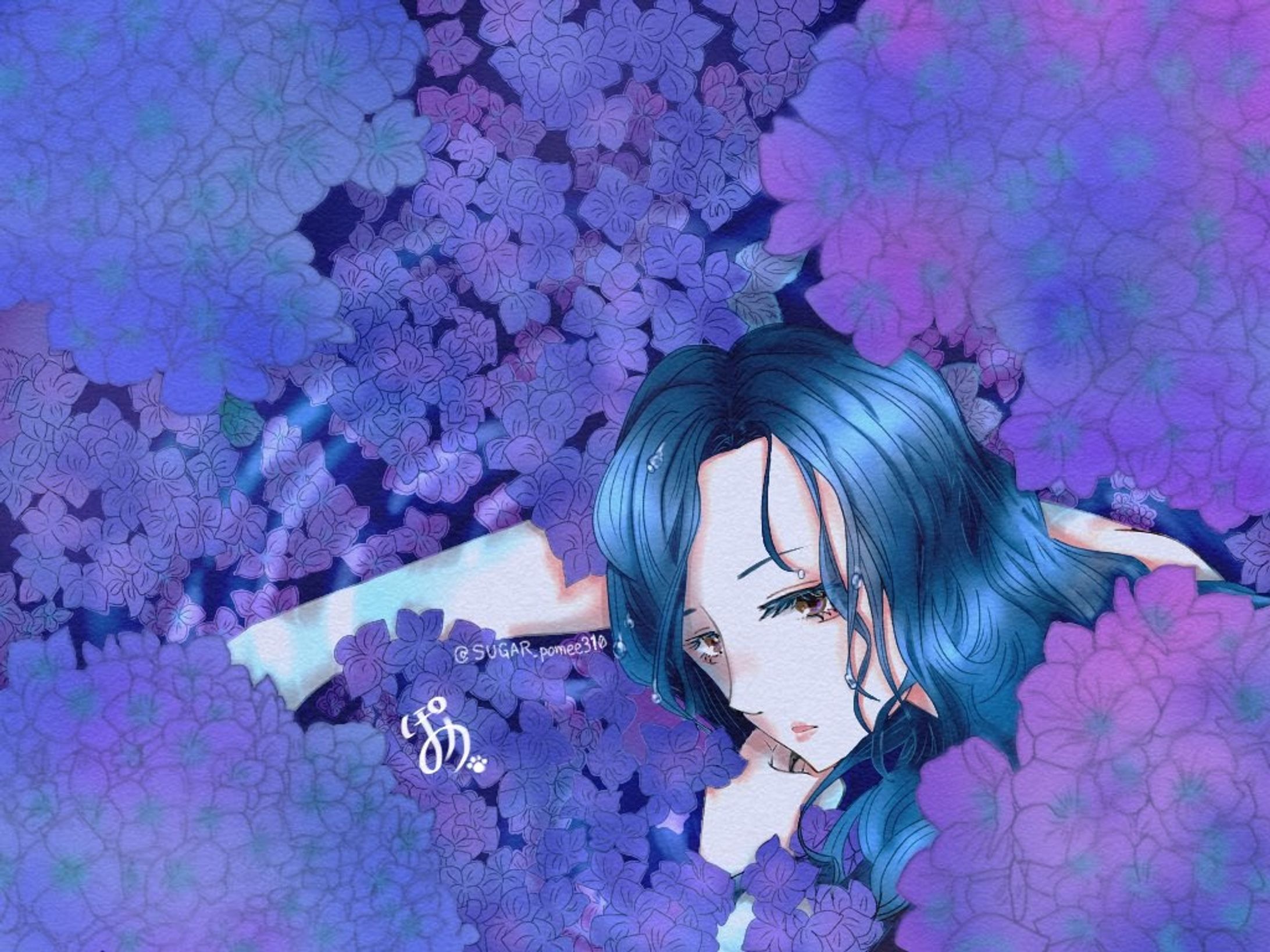 【一枚絵】紫陽花-1