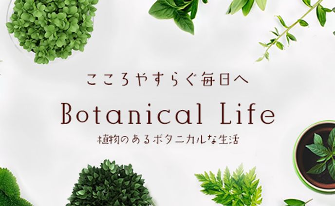 Botanical Life ブログヘッダー 