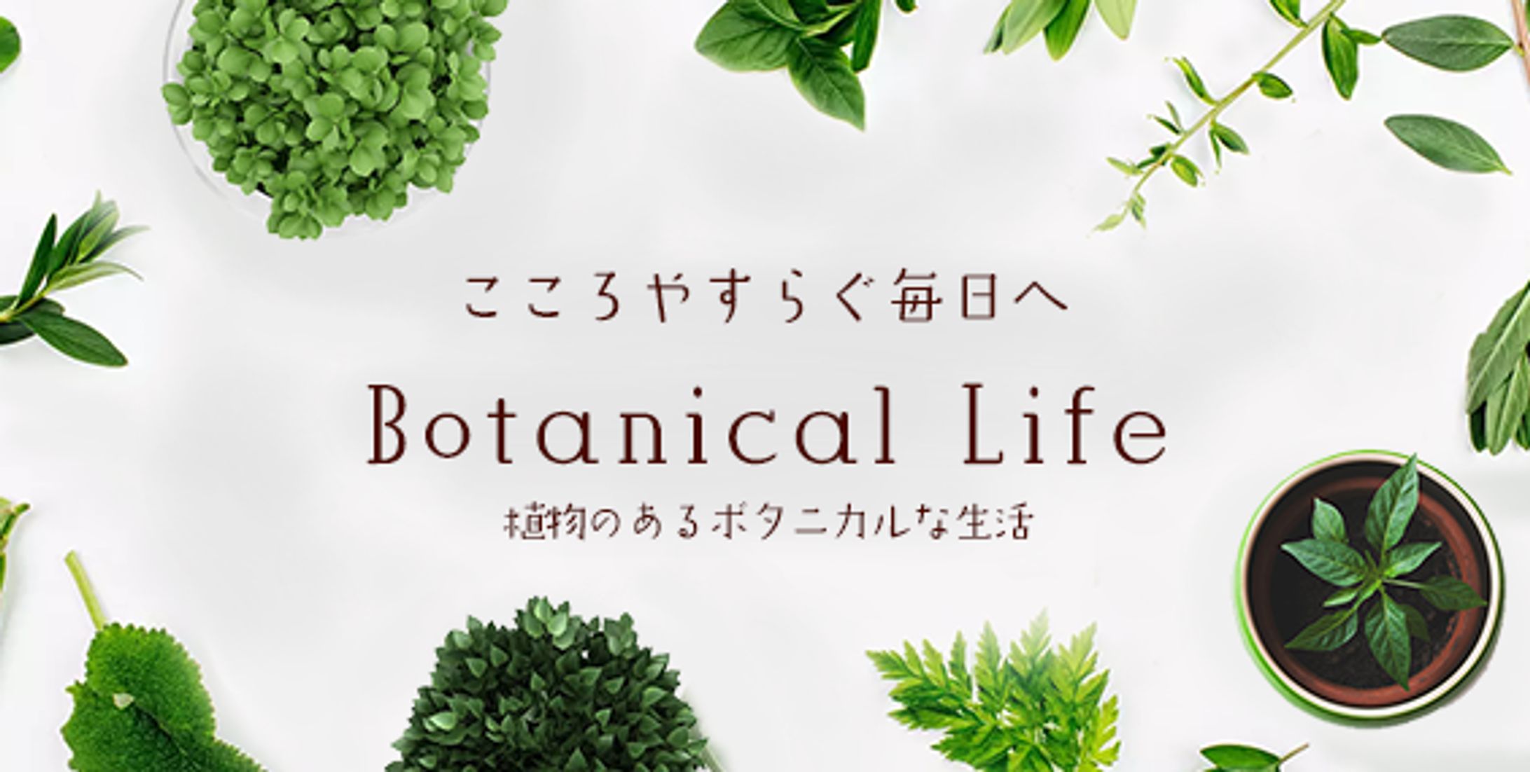 Botanical Life ブログヘッダー -1
