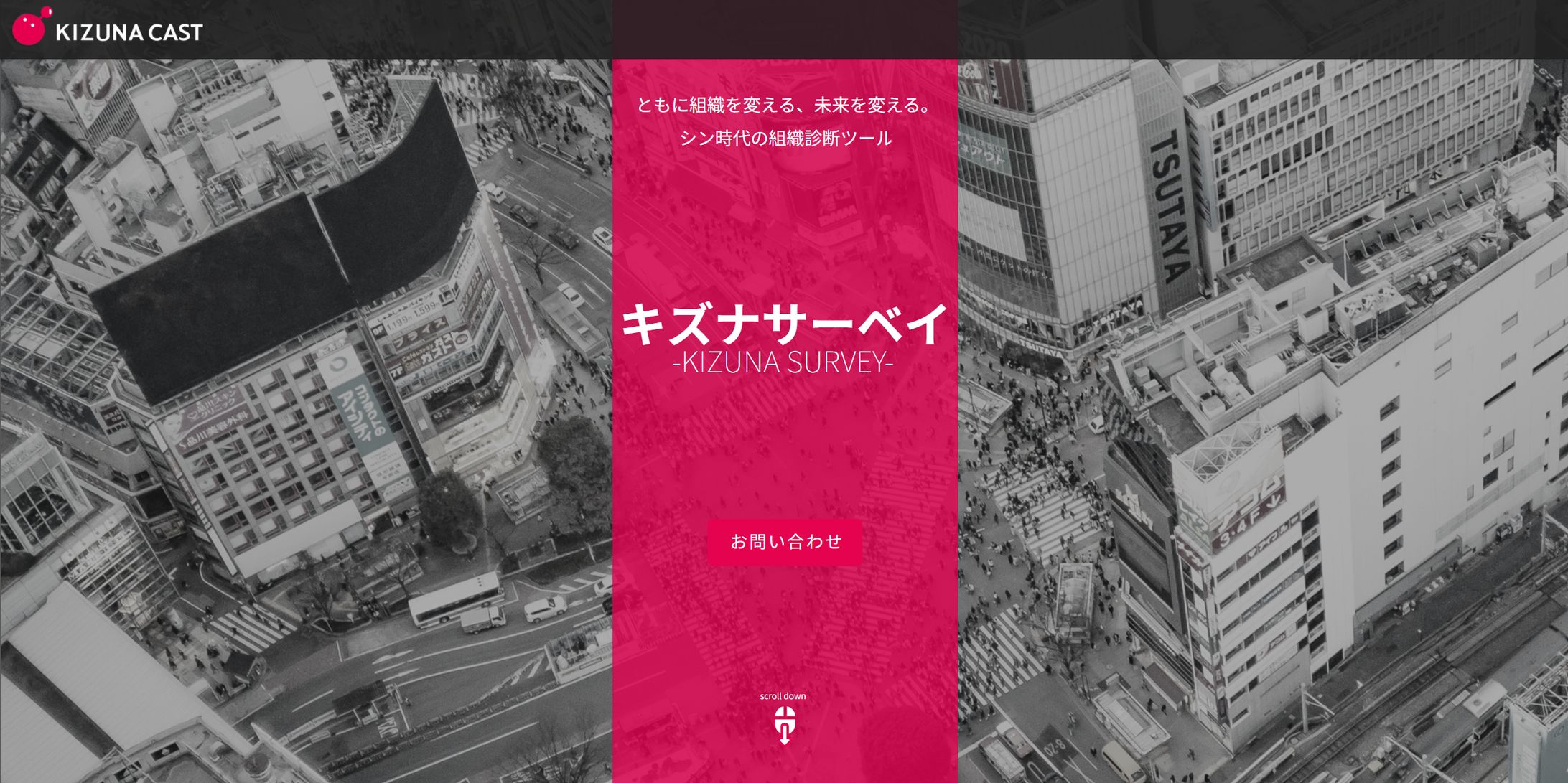 キズナサーベイ|KIZUNA CAST-1