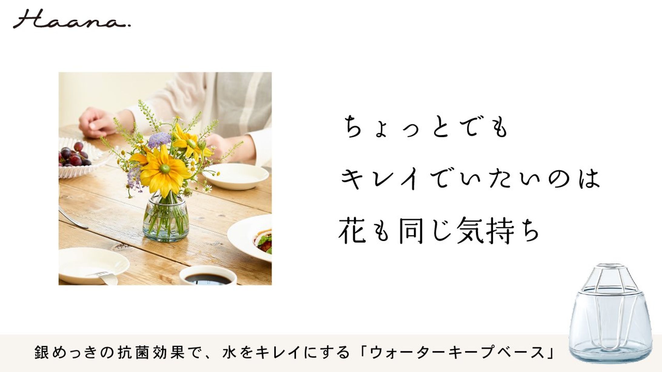 ちょっとでもキレイでいたいのは 花も同じ気持ち-1