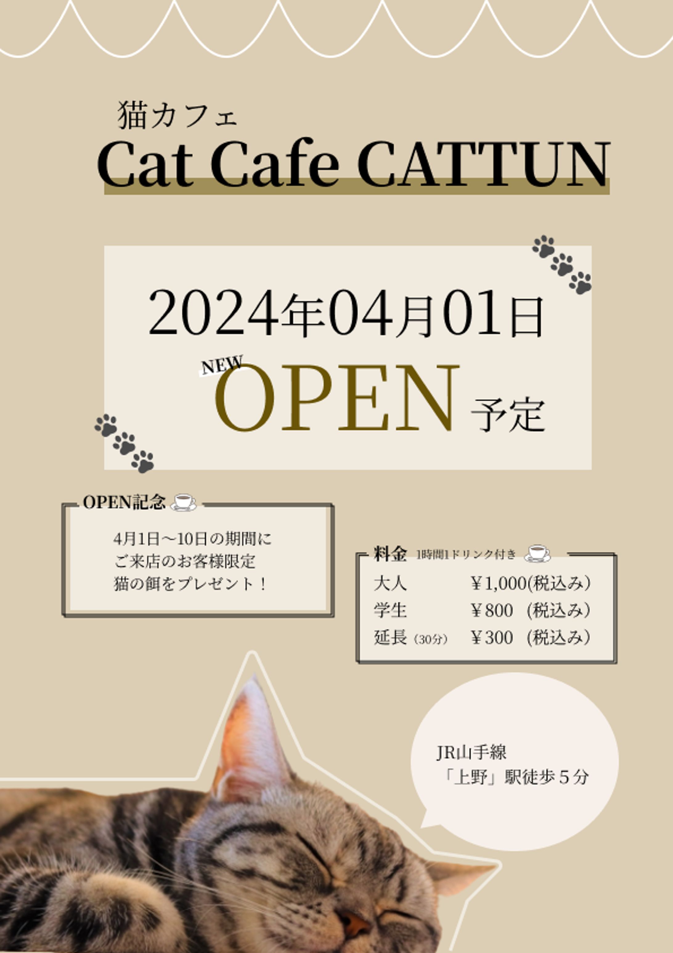 【チラシ】猫カフェ（自主制作）-1