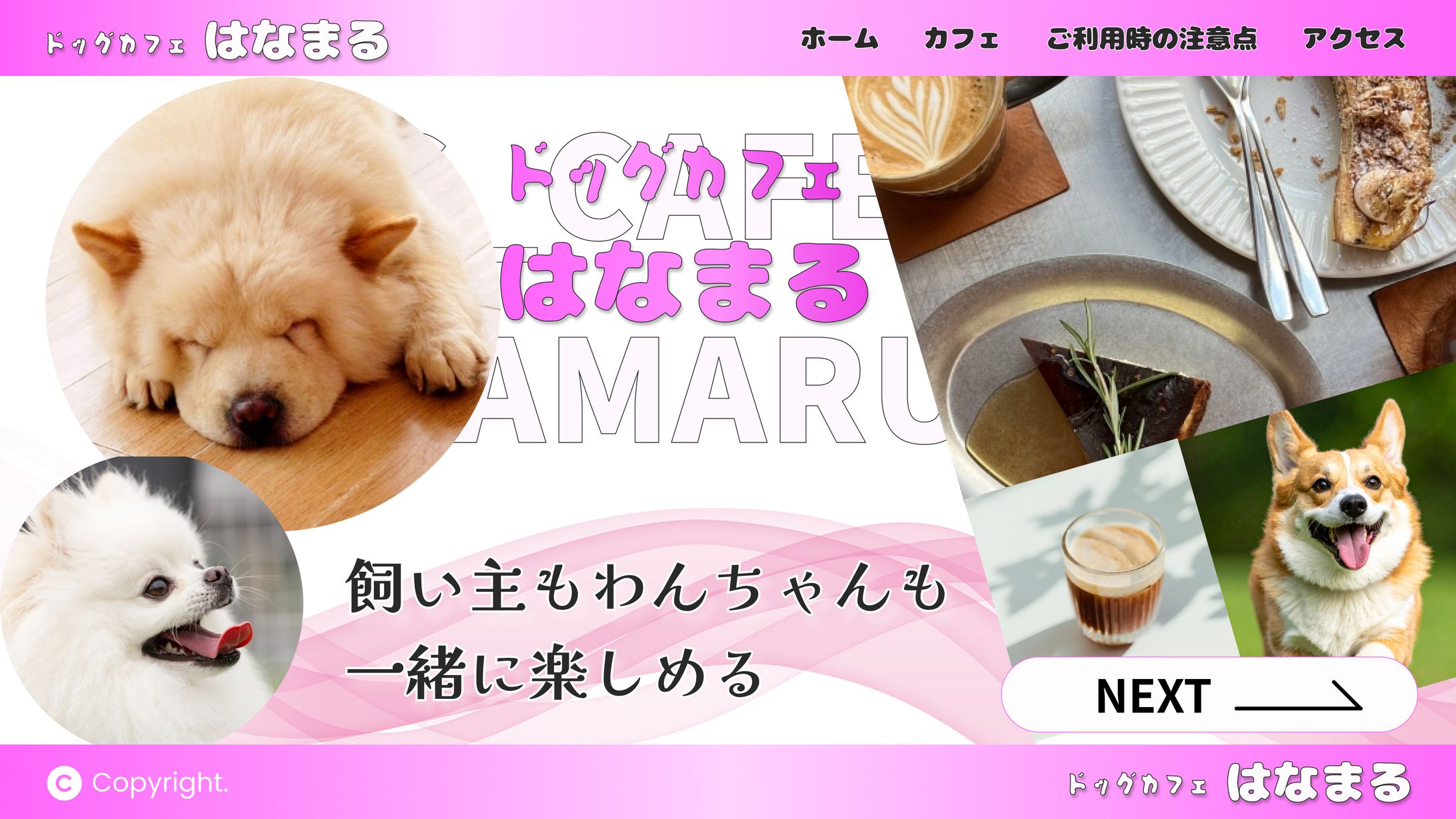ドックカフェWEBサイトデザイン(デザインのみ)-1