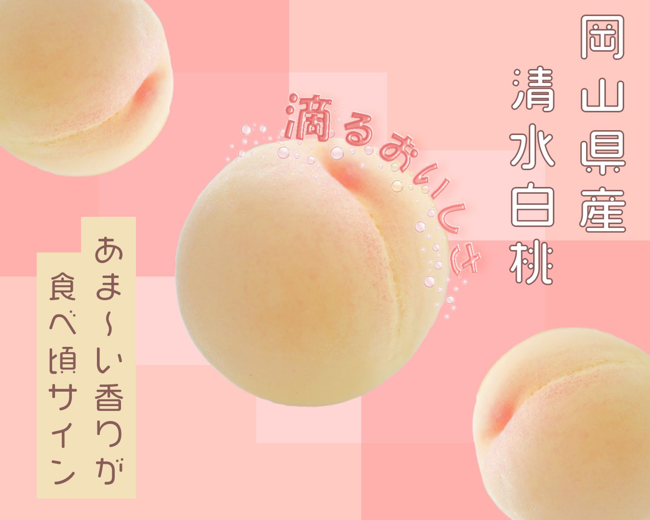 清水白桃PR-1