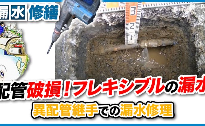 【サムネ作成を担当】